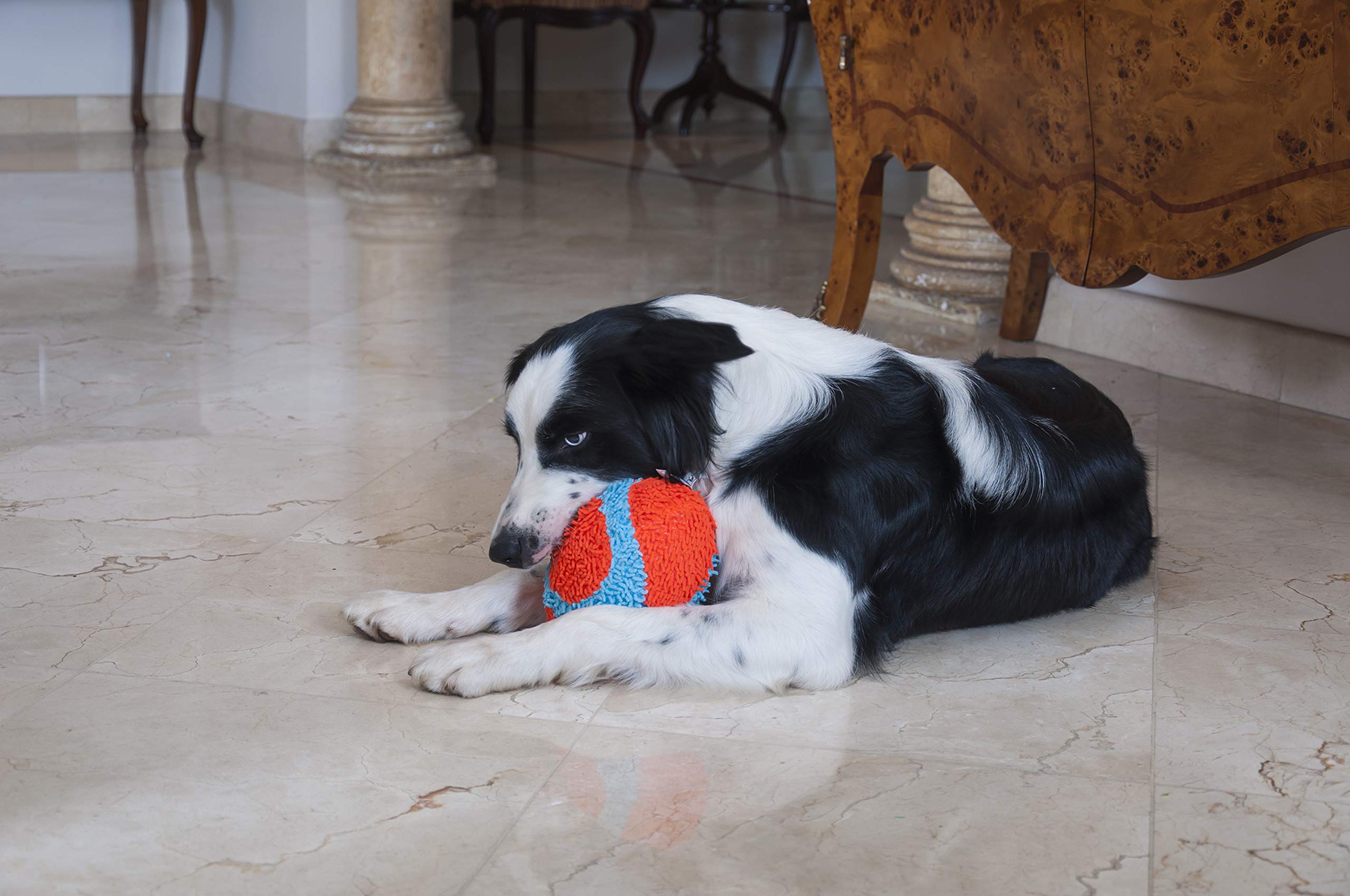 Chuckit! Indoor Fetch Ball Dog Toy for Dogs , 4.75 Inch