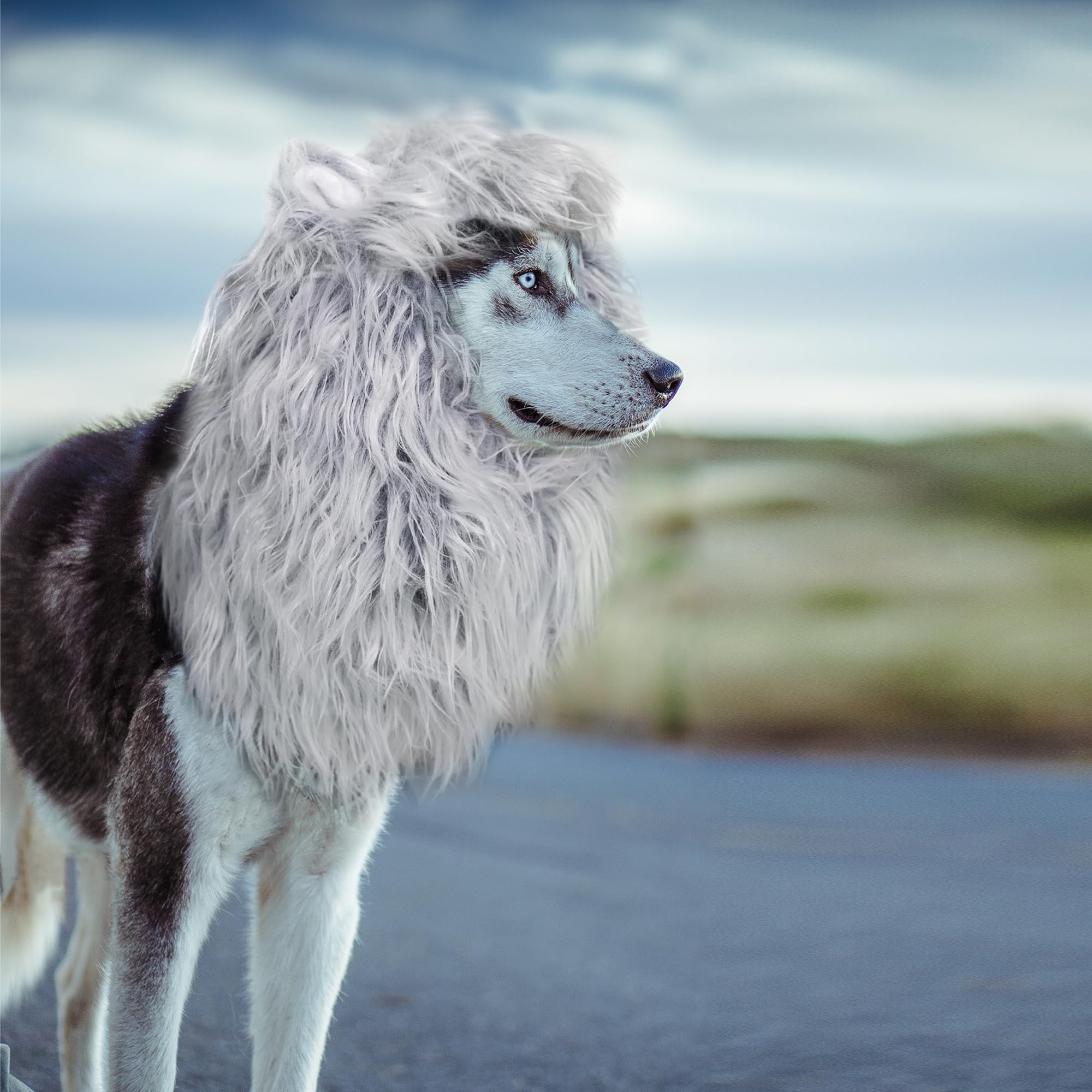 Lion Mane Wig for Dogs with Ears, Funny Pet Costumes for Halloween