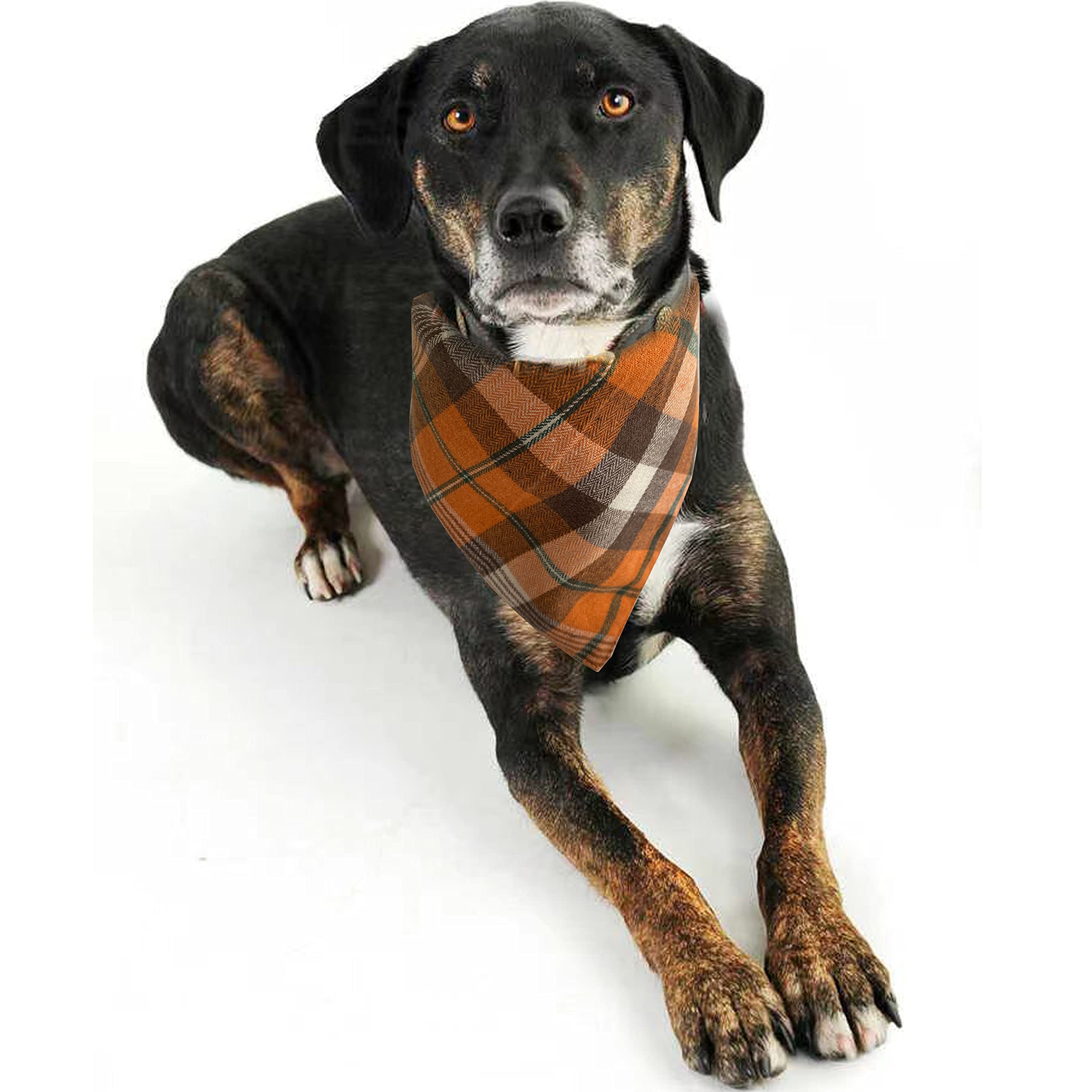 Realeaf Fall Halloween Dog Bandanas 2 Pack
