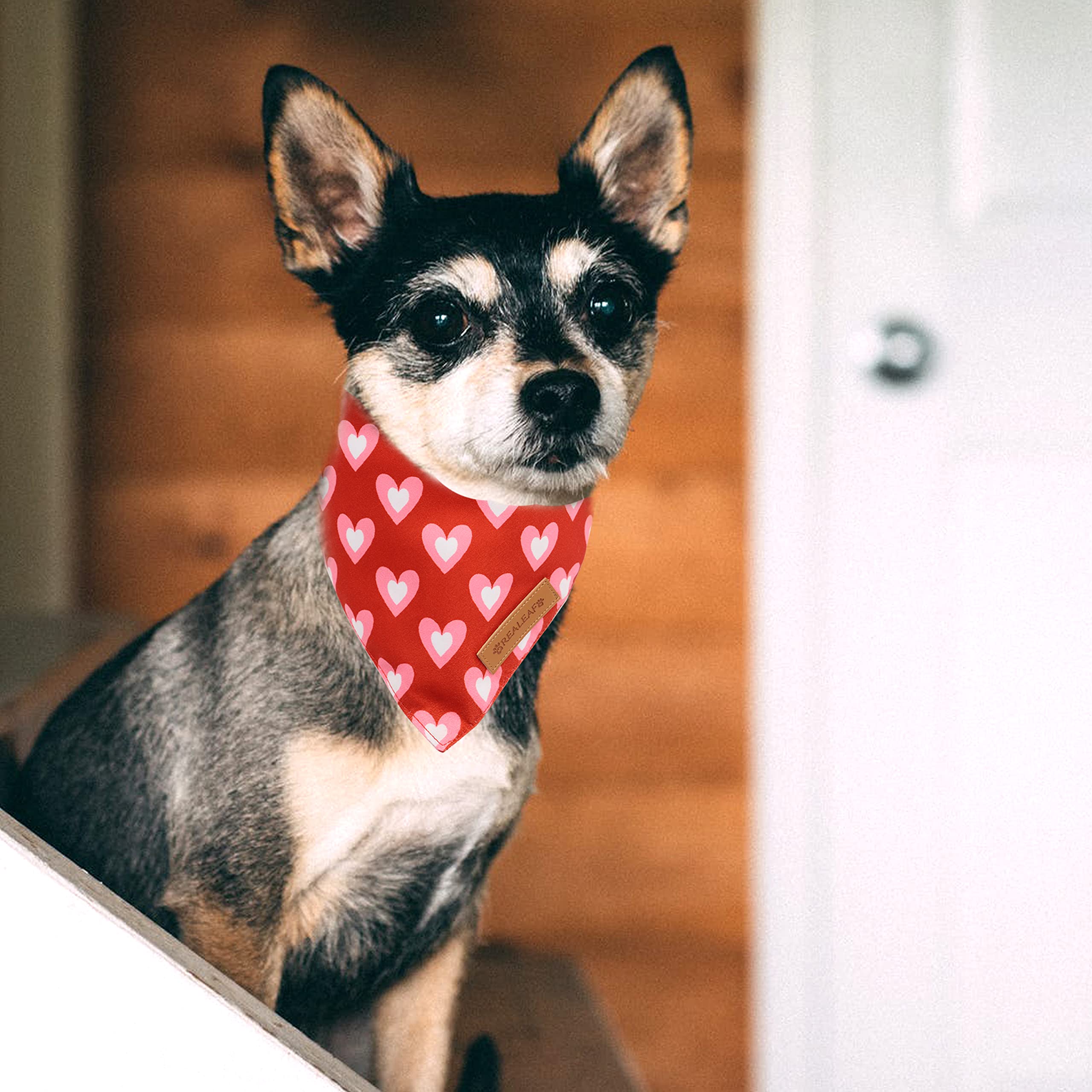 Realeaf Fall Halloween Dog Bandanas 2 Pack