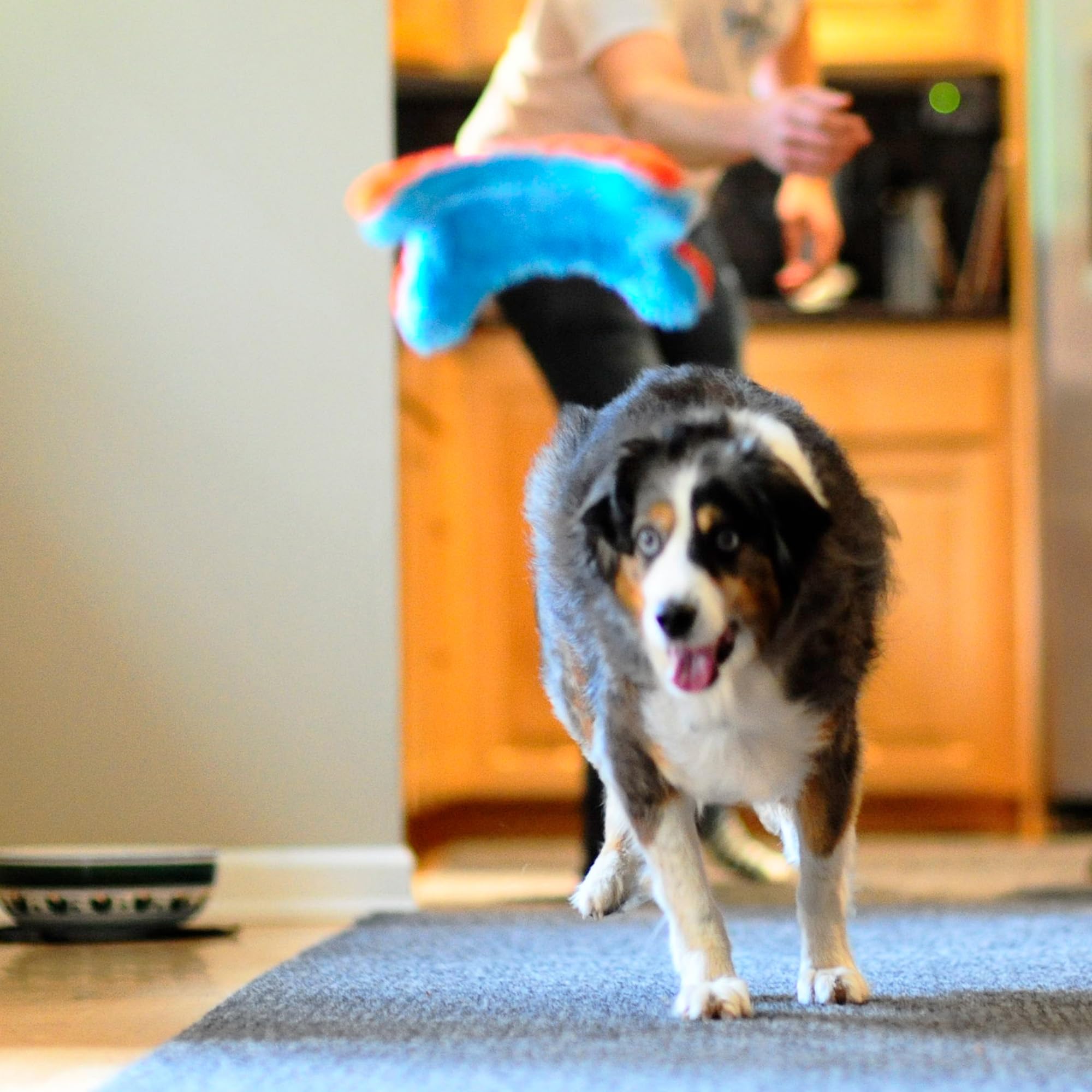 Chuckit! Indoor Fetch Ball Dog Toy for Dogs , 4.75 Inch