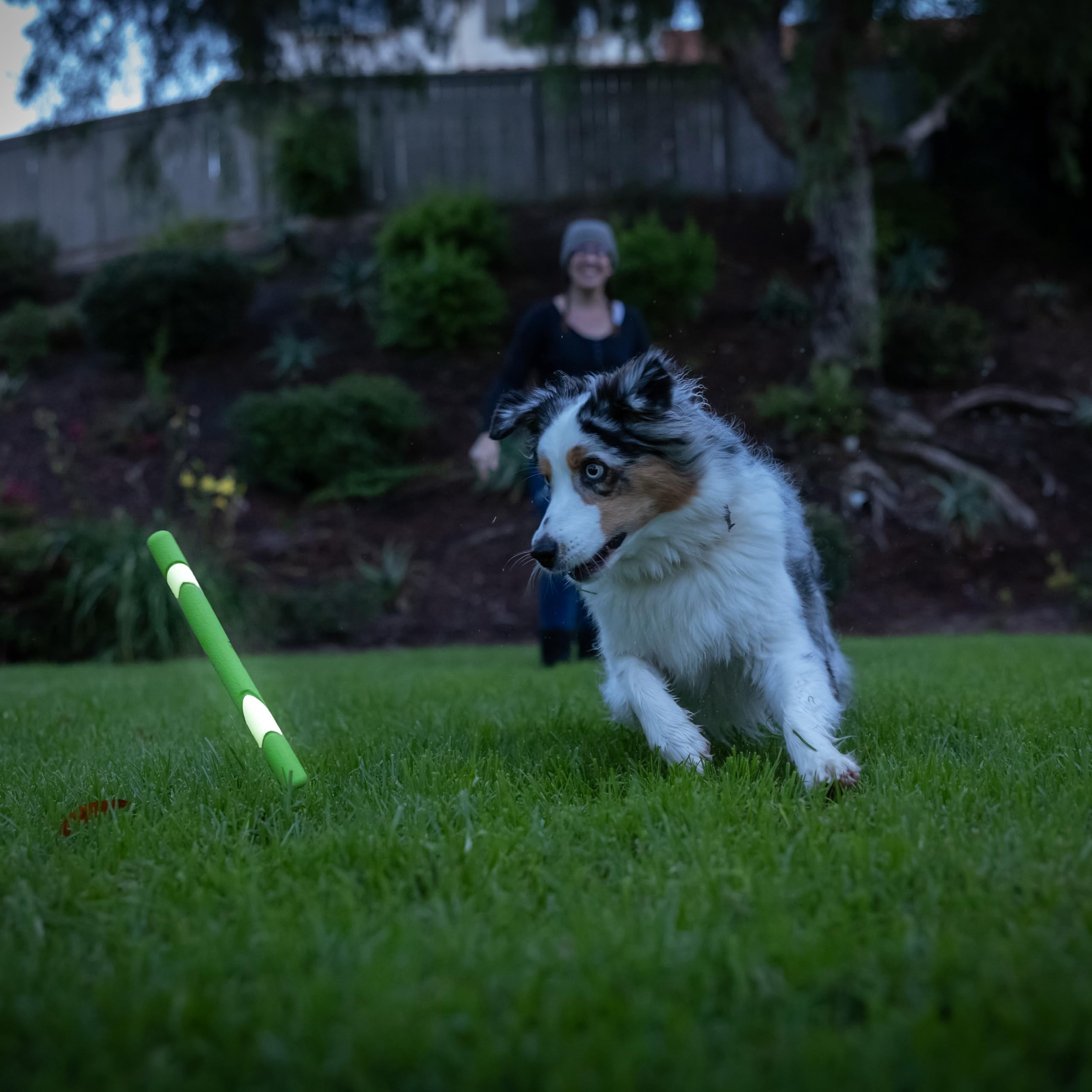 Chuckit! Interactive Dog Toy Ultra Fetch Stick