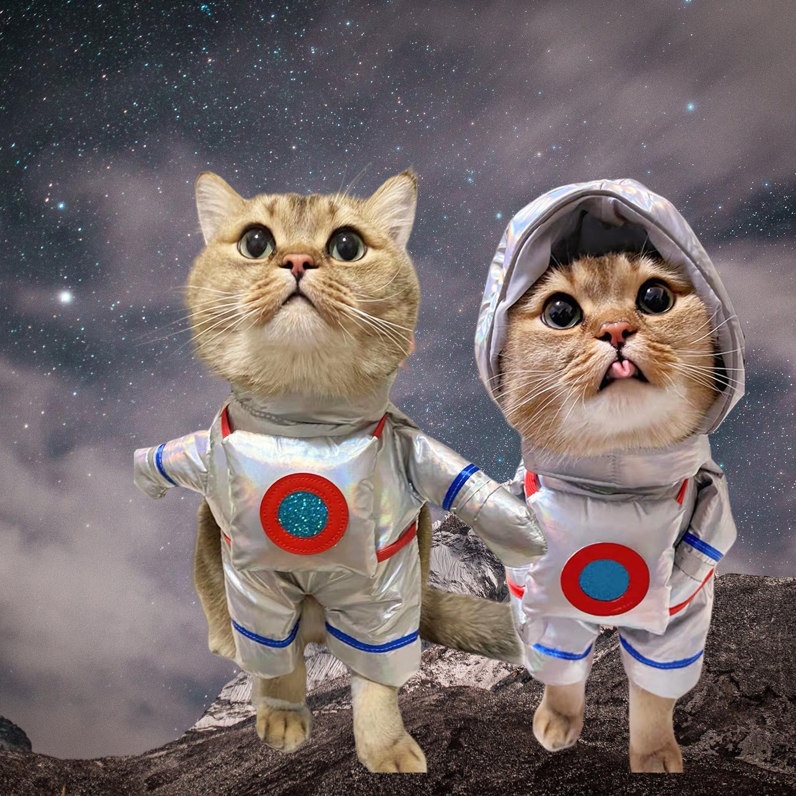 Dog Astronaut Standing Halloween Party Costume
