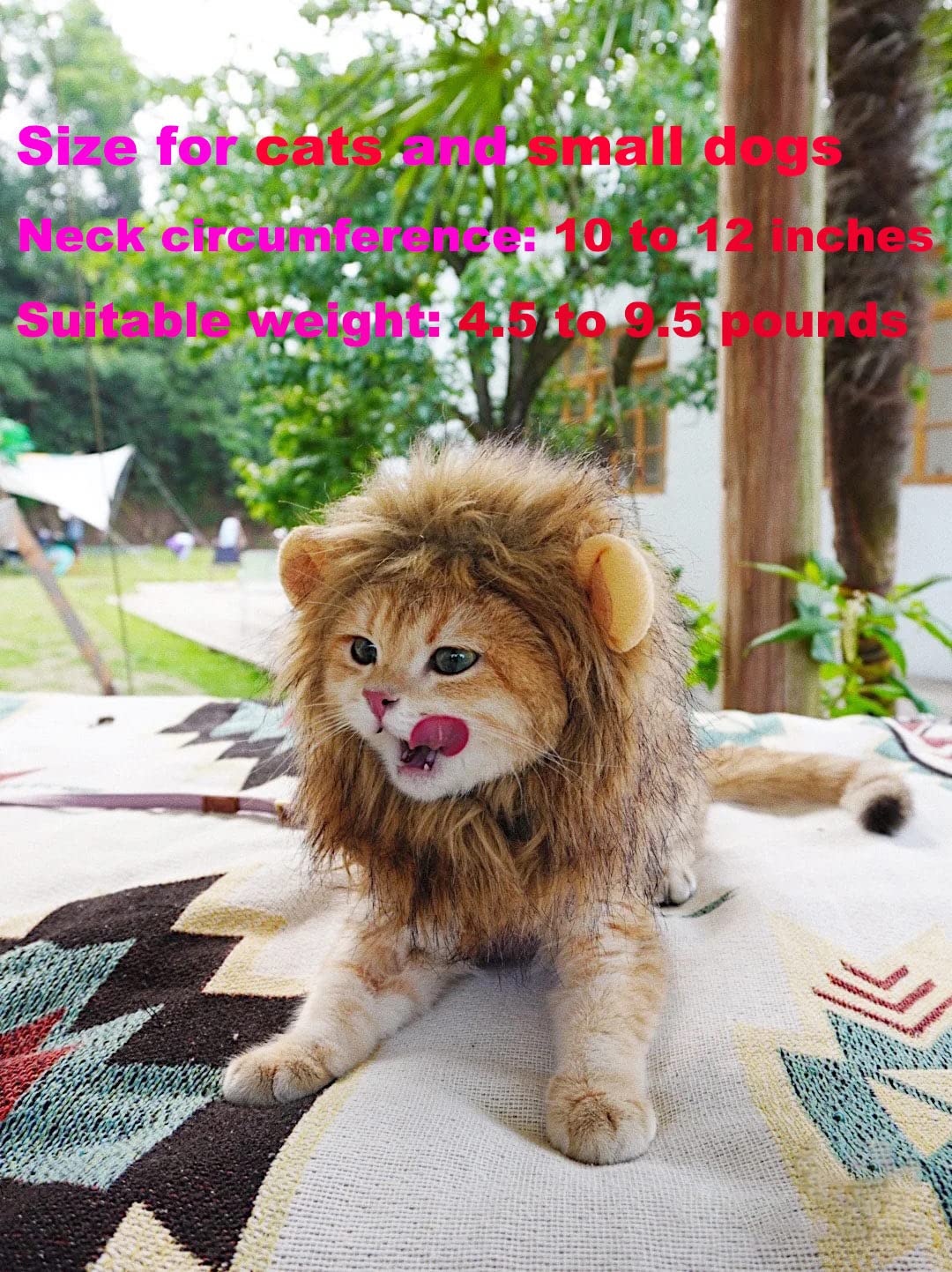 Pet Adjustable Washable Comfortable Fancy Lion Hair Cat Clothes