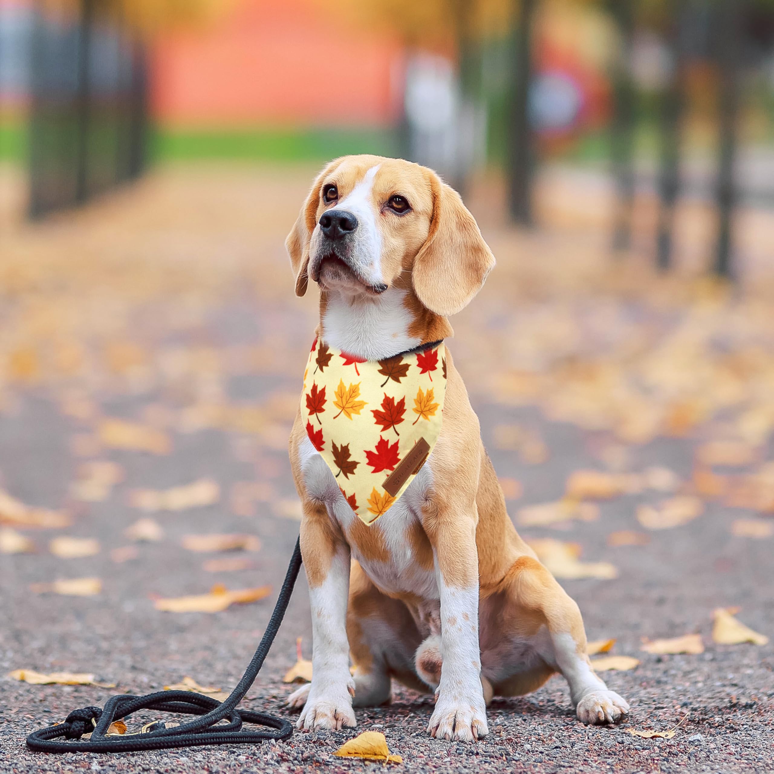 Realeaf Halloween Dog Bandanas 2 Pack