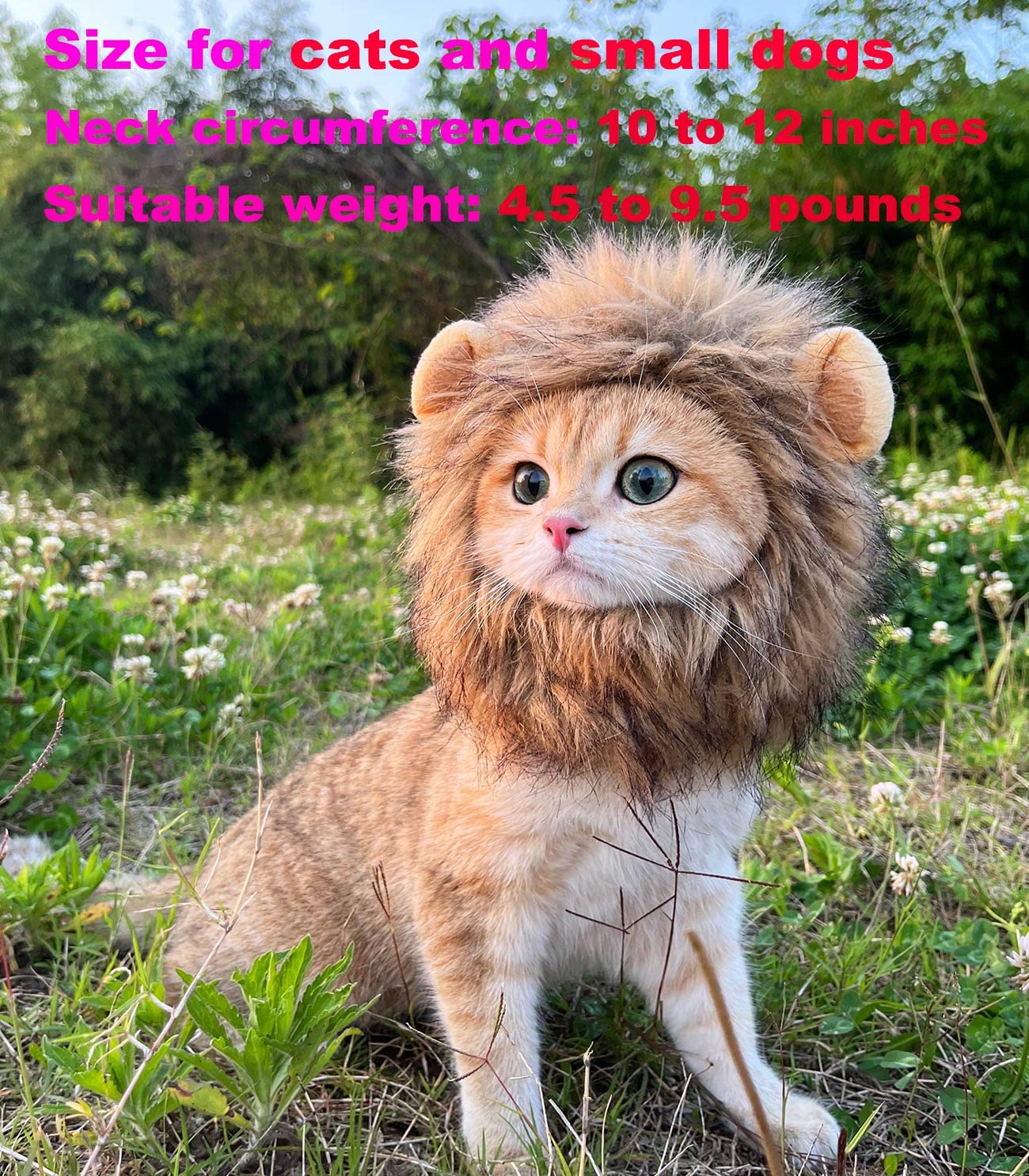 Pet Adjustable Washable Comfortable Fancy Lion Hair Cat Clothes