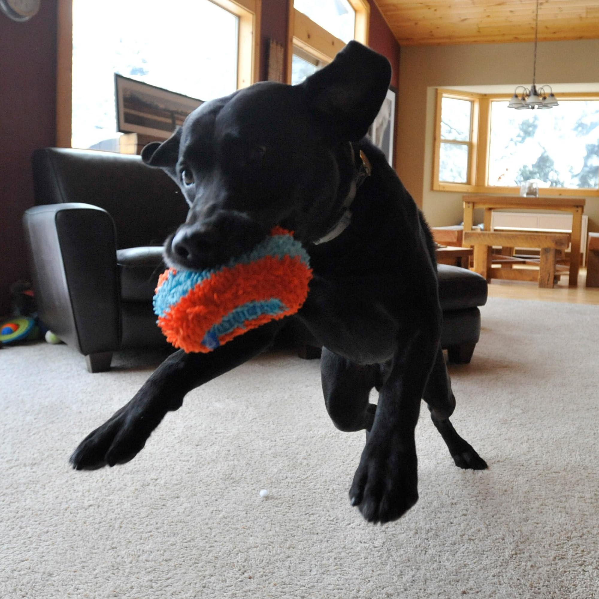 Chuckit! Indoor Fetch Ball Dog Toy for Dogs , 4.75 Inch