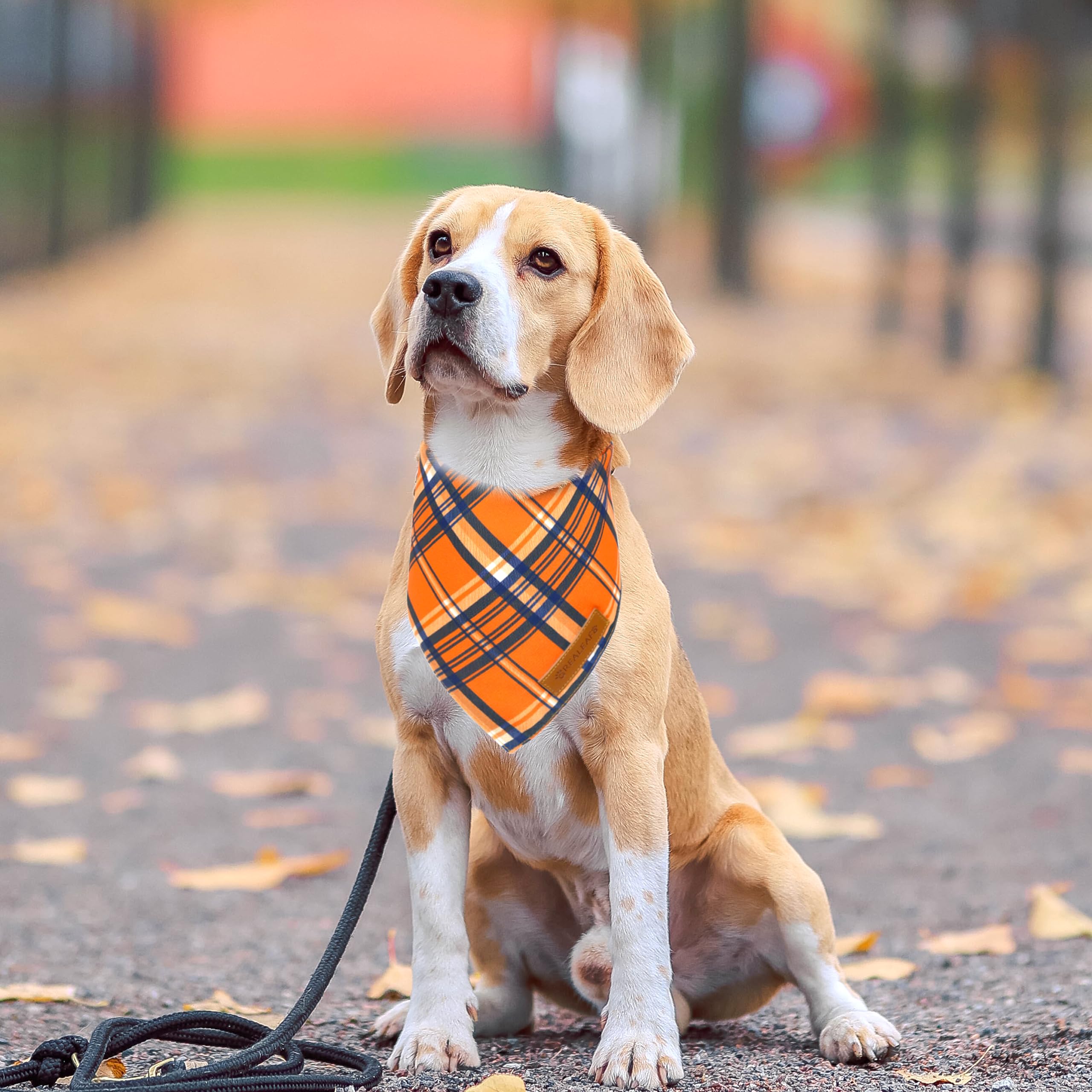 Realeaf Fall Dog Bandanas 2 Pack, Reversible Orange Plaid Holiday Pet Scarf