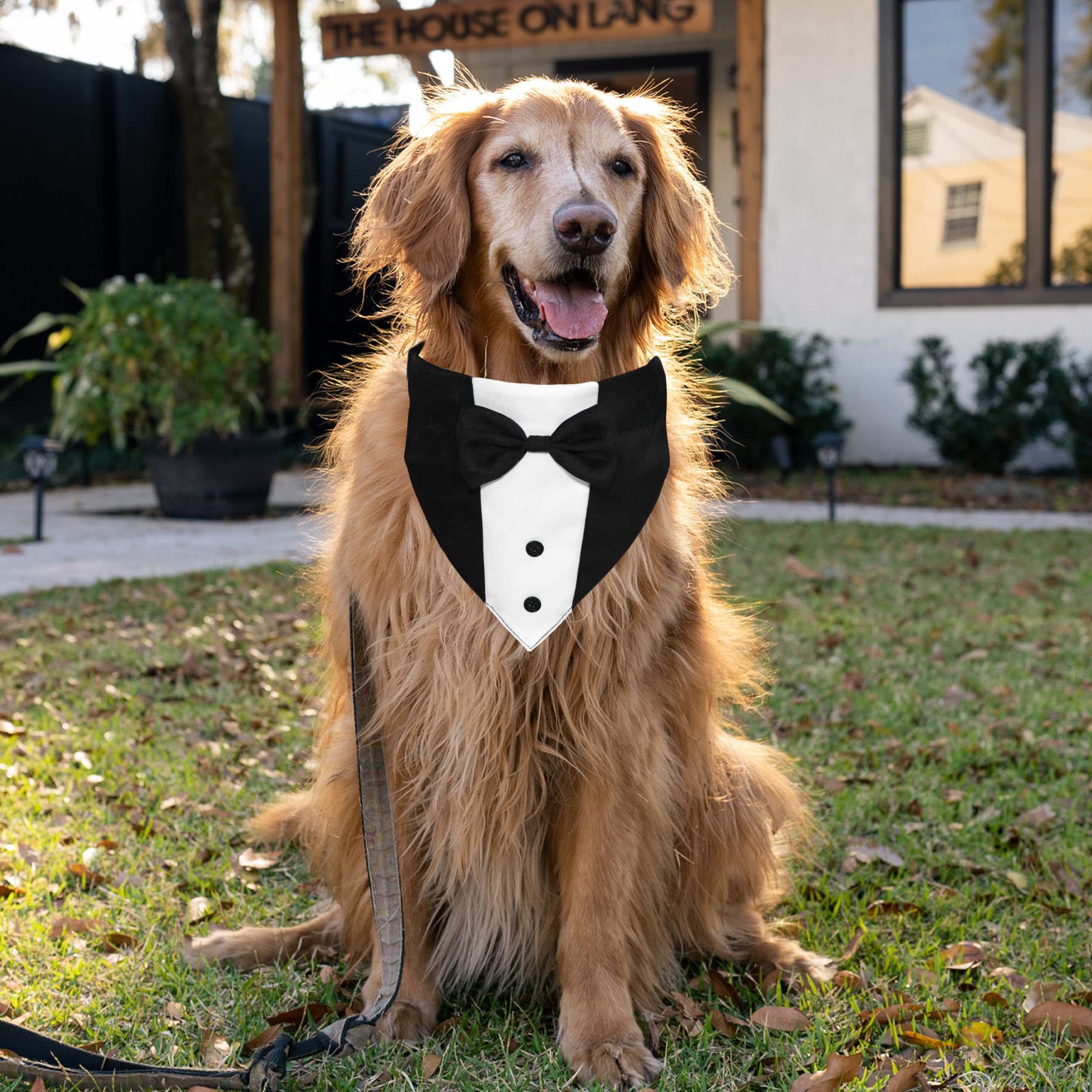 GOYOSWA Dog Tuxedo Suit Wedding Bandana Collar with Bow Tie