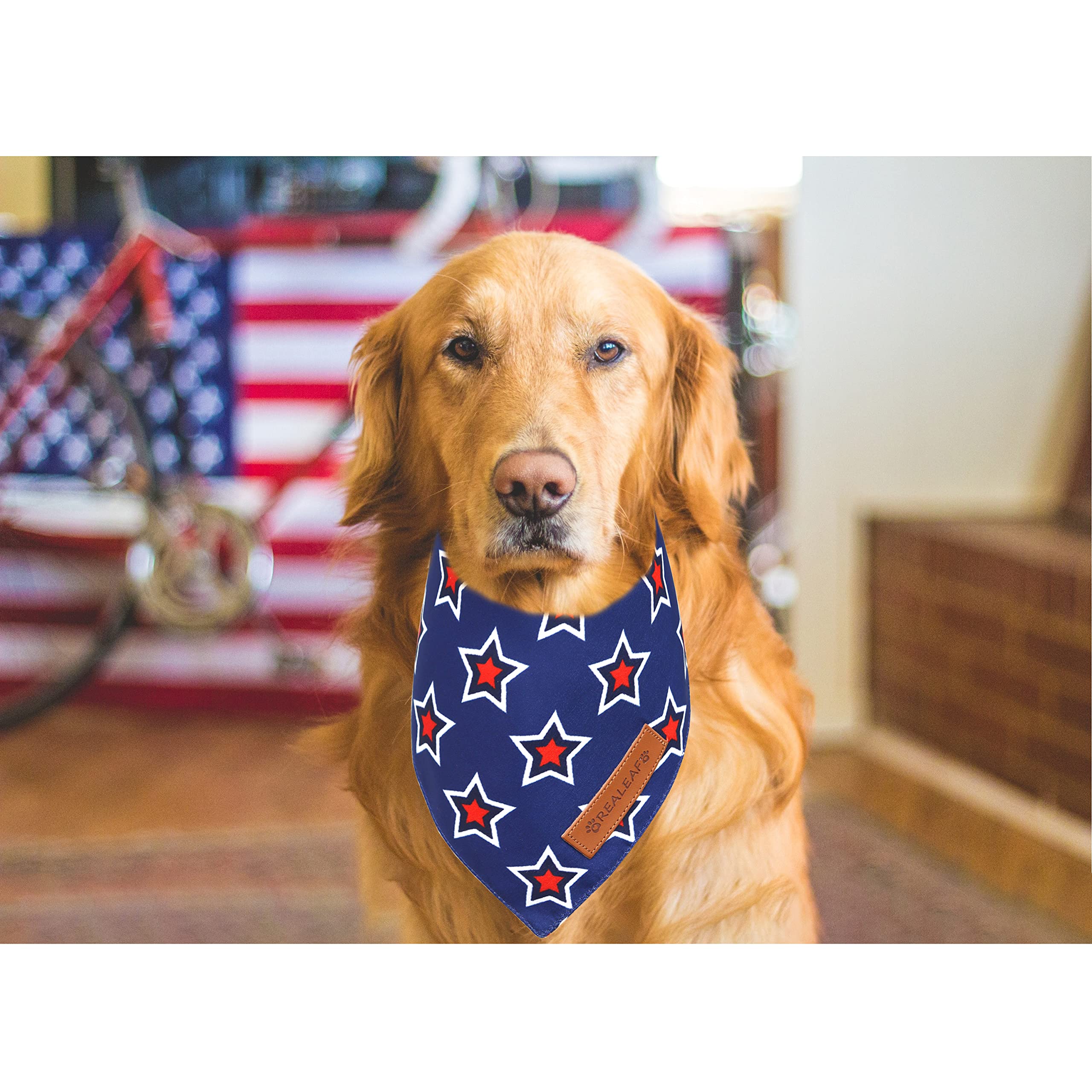 Realeaf Halloween Dog Bandanas 2 Pack