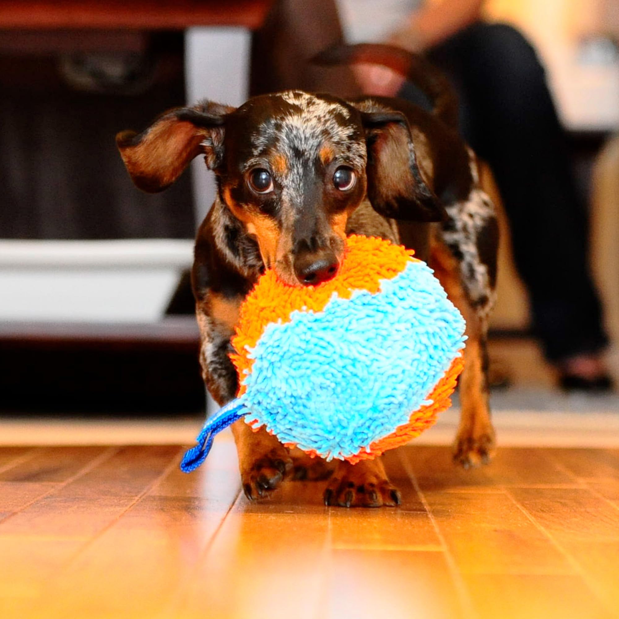 Chuckit! Indoor Fetch Ball Dog Toy for Dogs , 4.75 Inch
