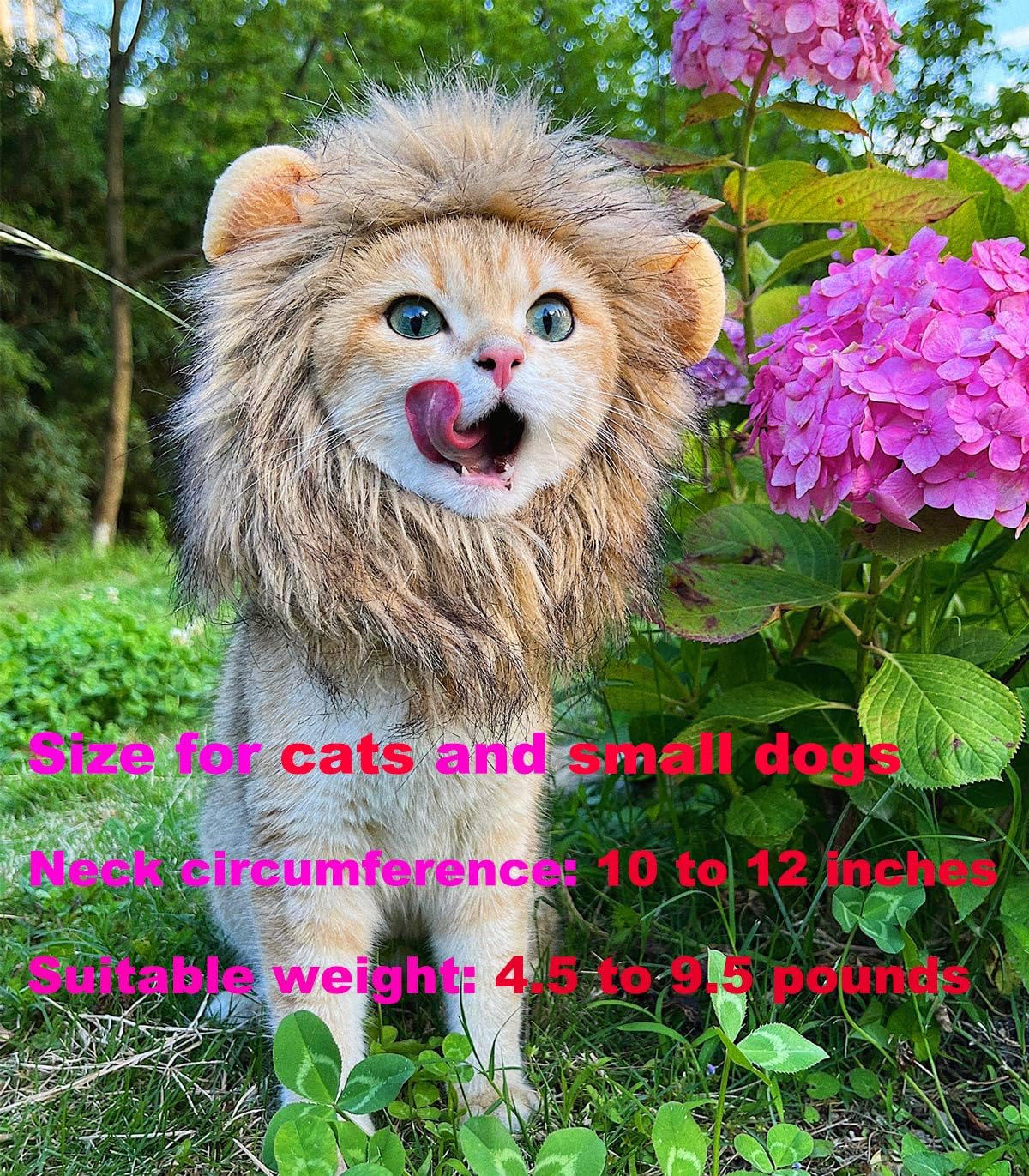 Pet Adjustable Washable Comfortable Fancy Lion Hair Cat Clothes