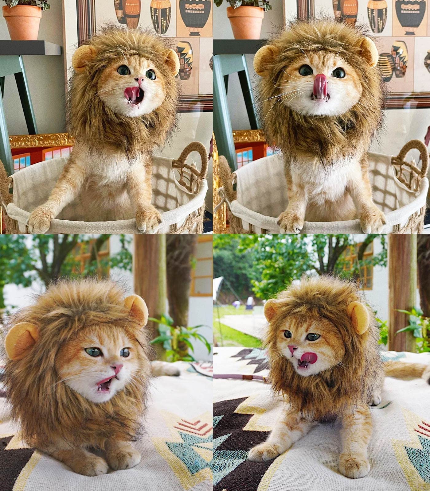 Pet Adjustable Washable Comfortable Fancy Lion Hair Cat Clothes