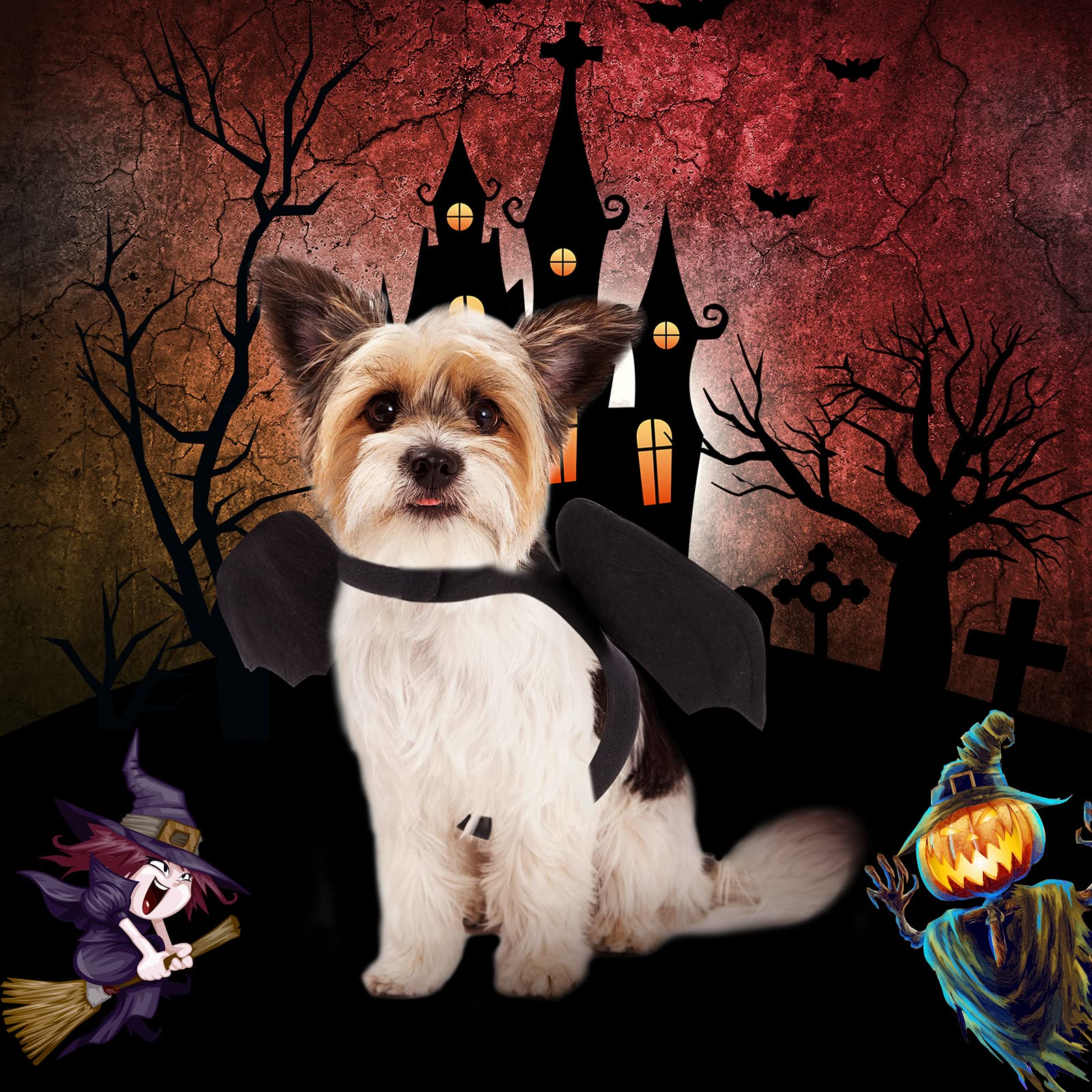Halloween Bat Wings Pet Costumes for Halloween Party