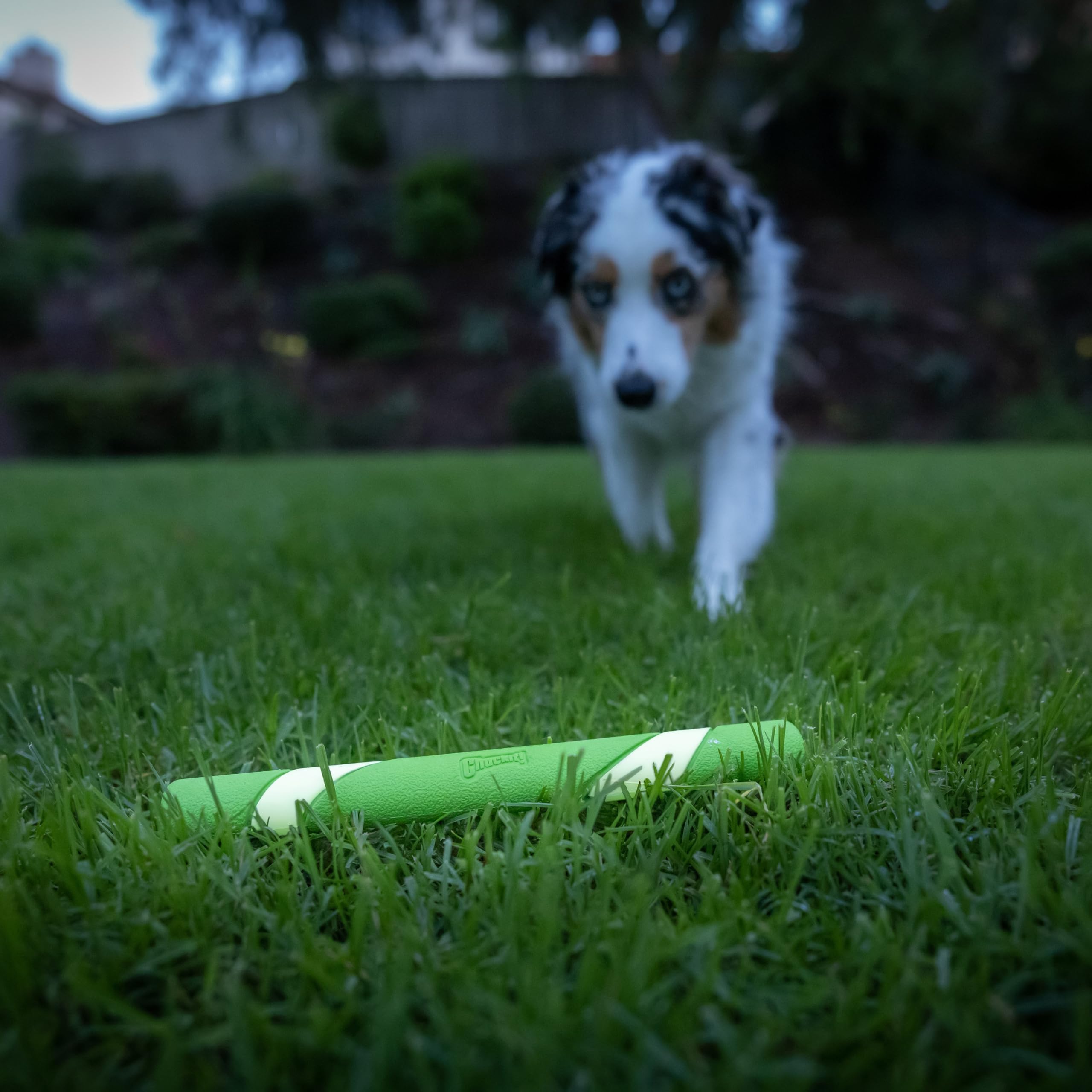 Chuckit! Interactive Dog Toy Ultra Fetch Stick
