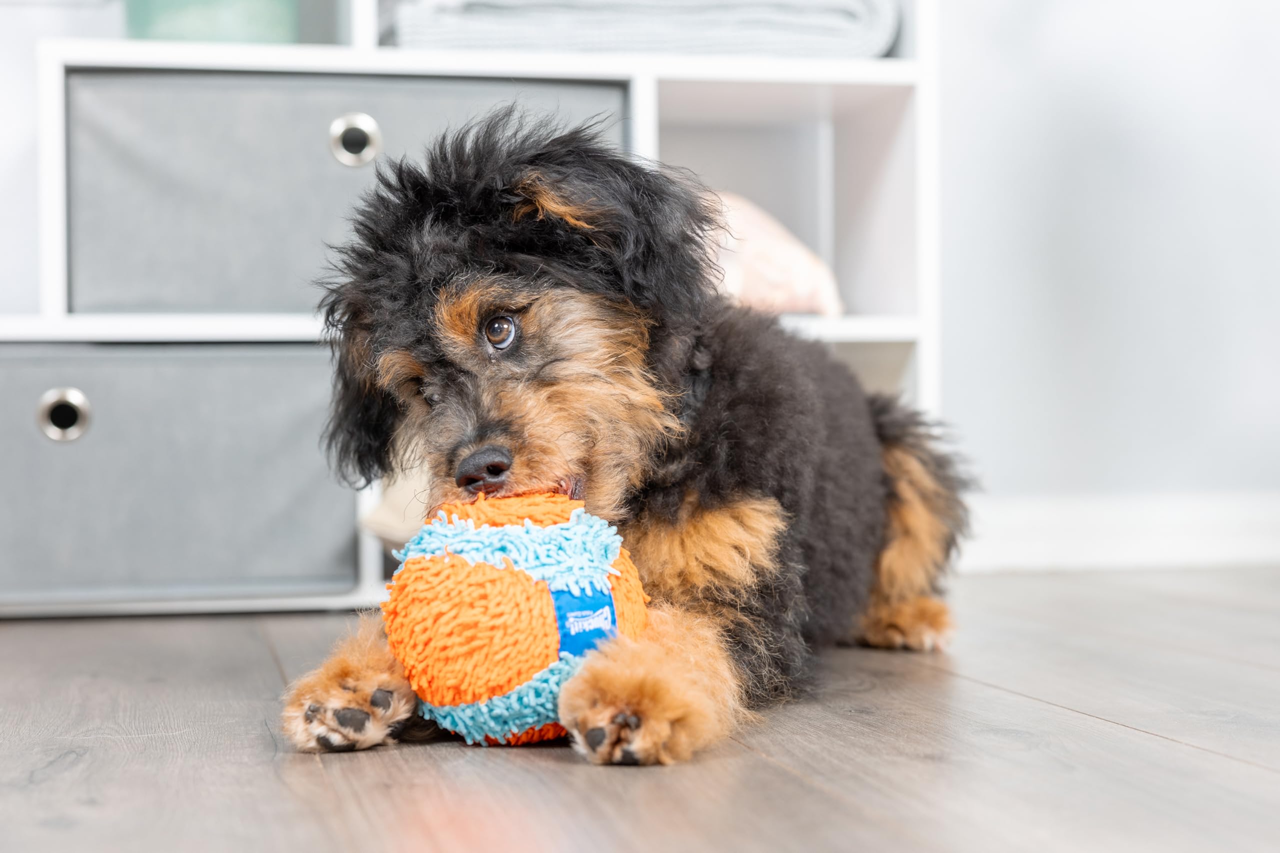 Chuckit! Indoor Fetch Ball Dog Toy for Dogs , 4.75 Inch
