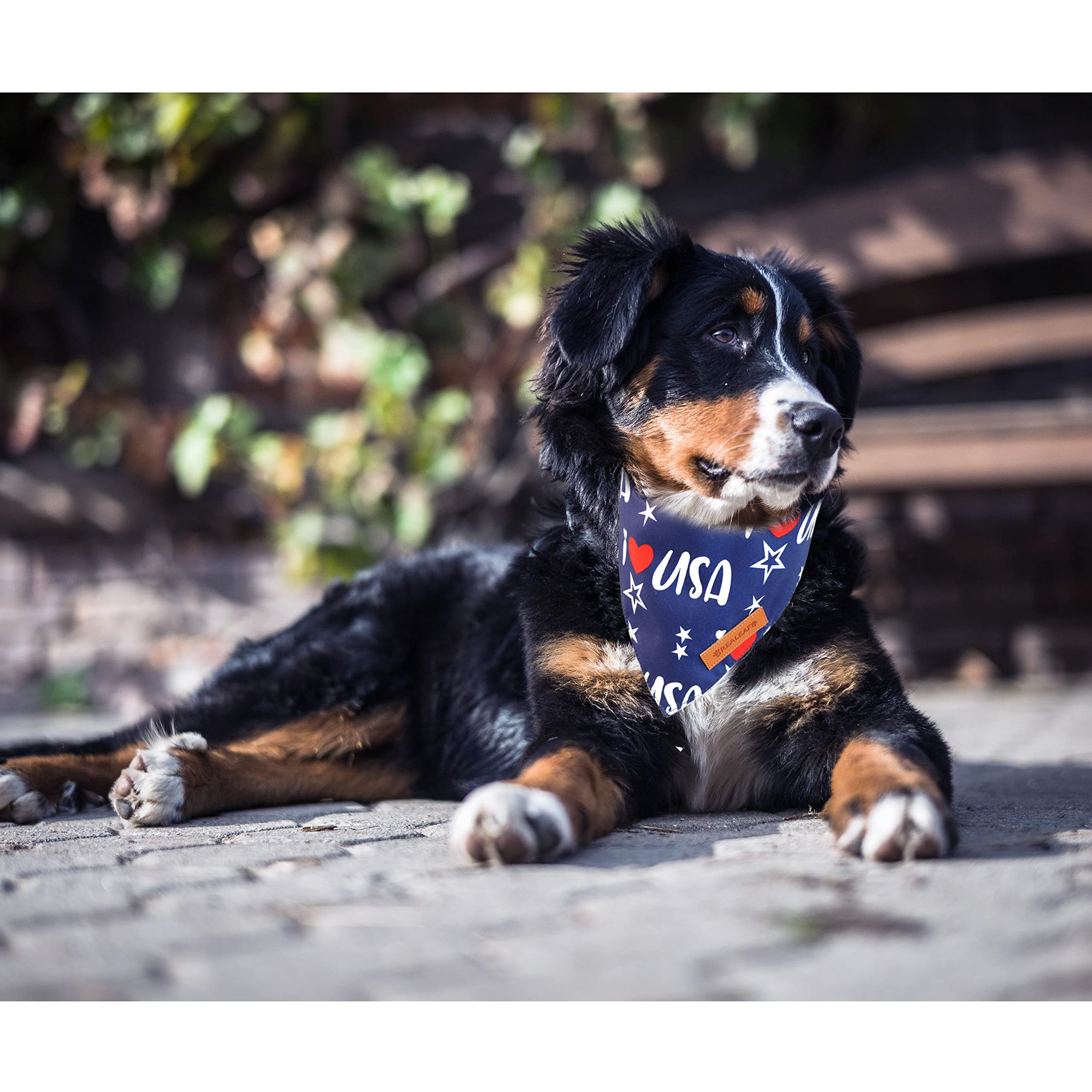 Realeaf Fall Halloween Dog Bandanas 2 Pack