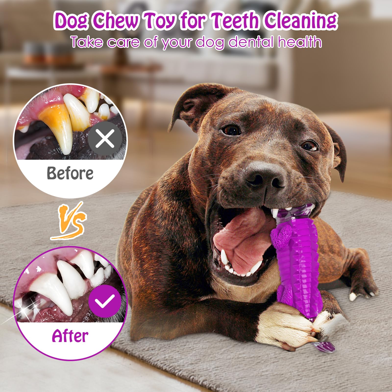 Dog Toys for Aggresive Chewers - Tough