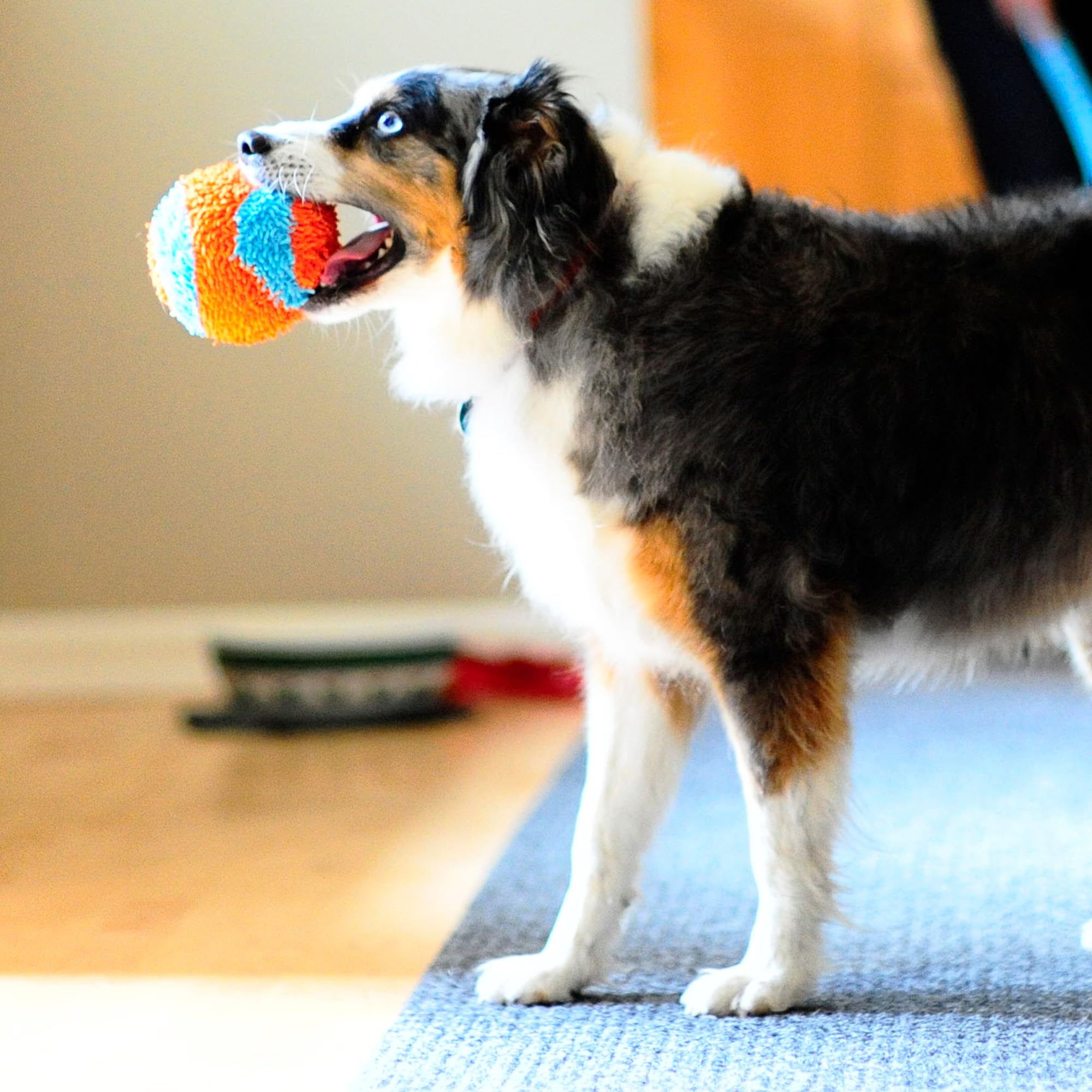 Chuckit! Indoor Fetch Ball Dog Toy for Dogs , 4.75 Inch