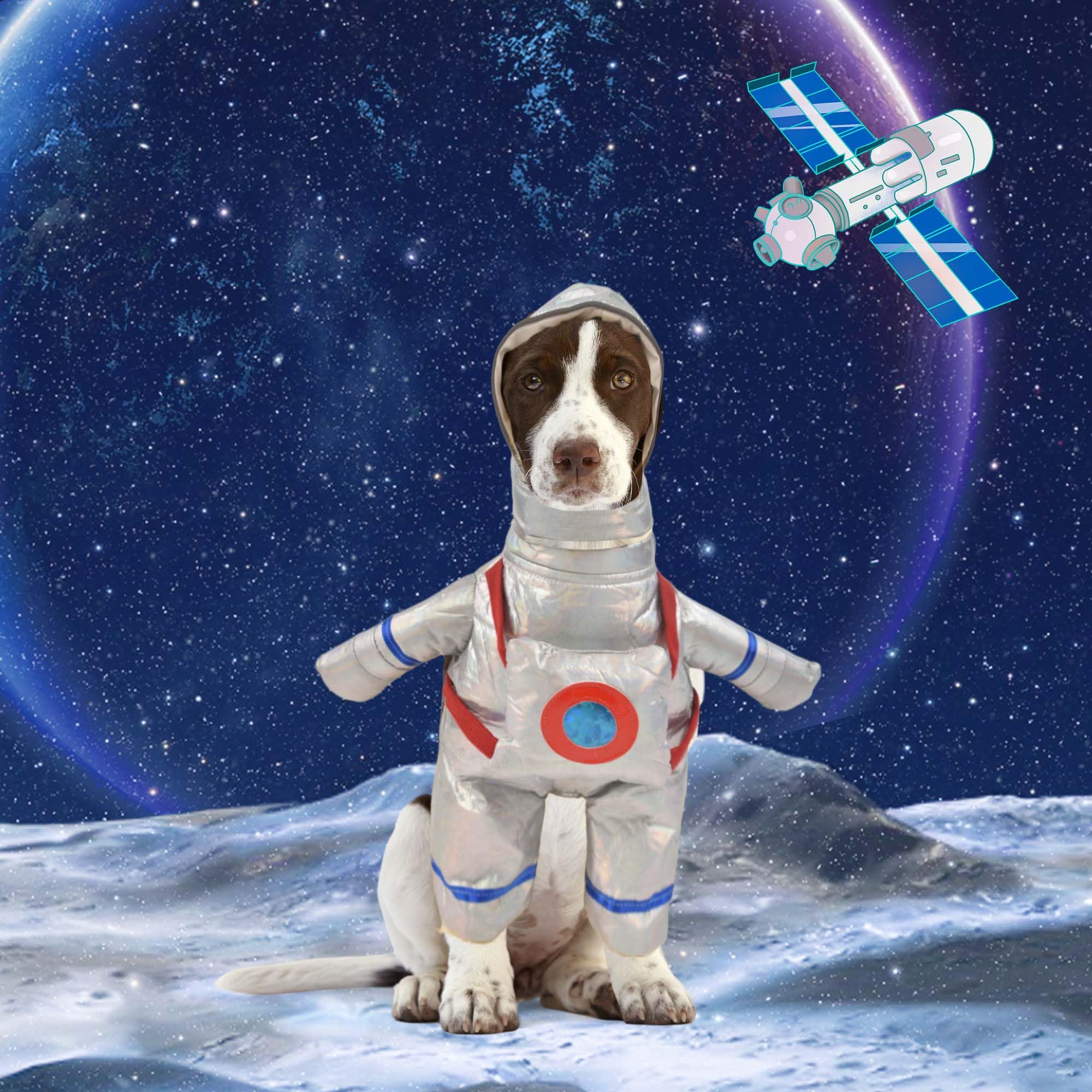 Dog Astronaut Standing Halloween Party Costume