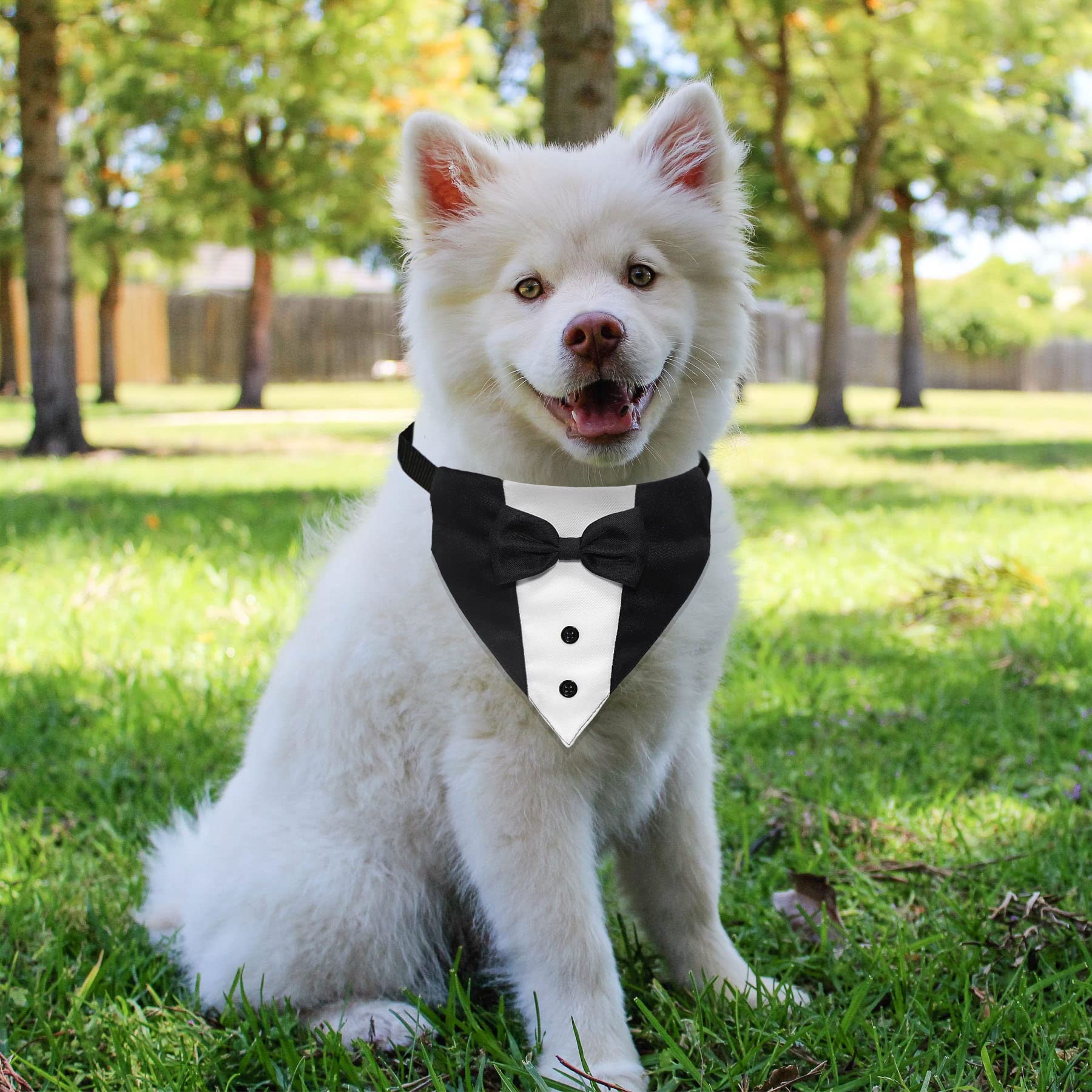 GOYOSWA Dog Tuxedo Suit Wedding Bandana Collar with Bow Tie