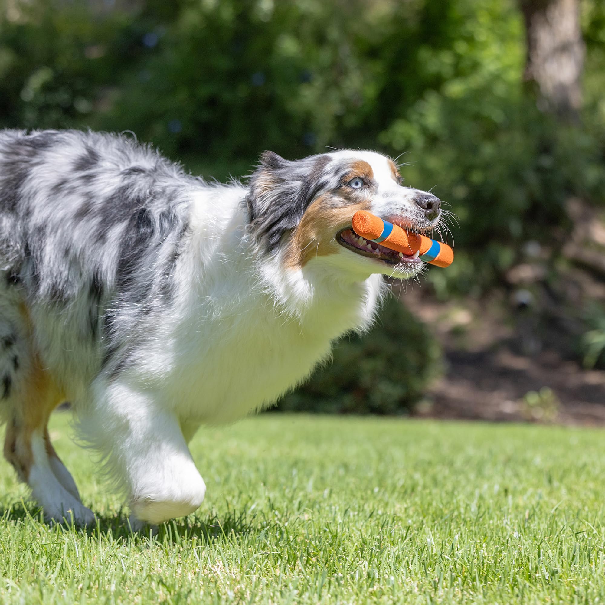 Chuckit! Interactive Dog Toy Ultra Fetch Stick