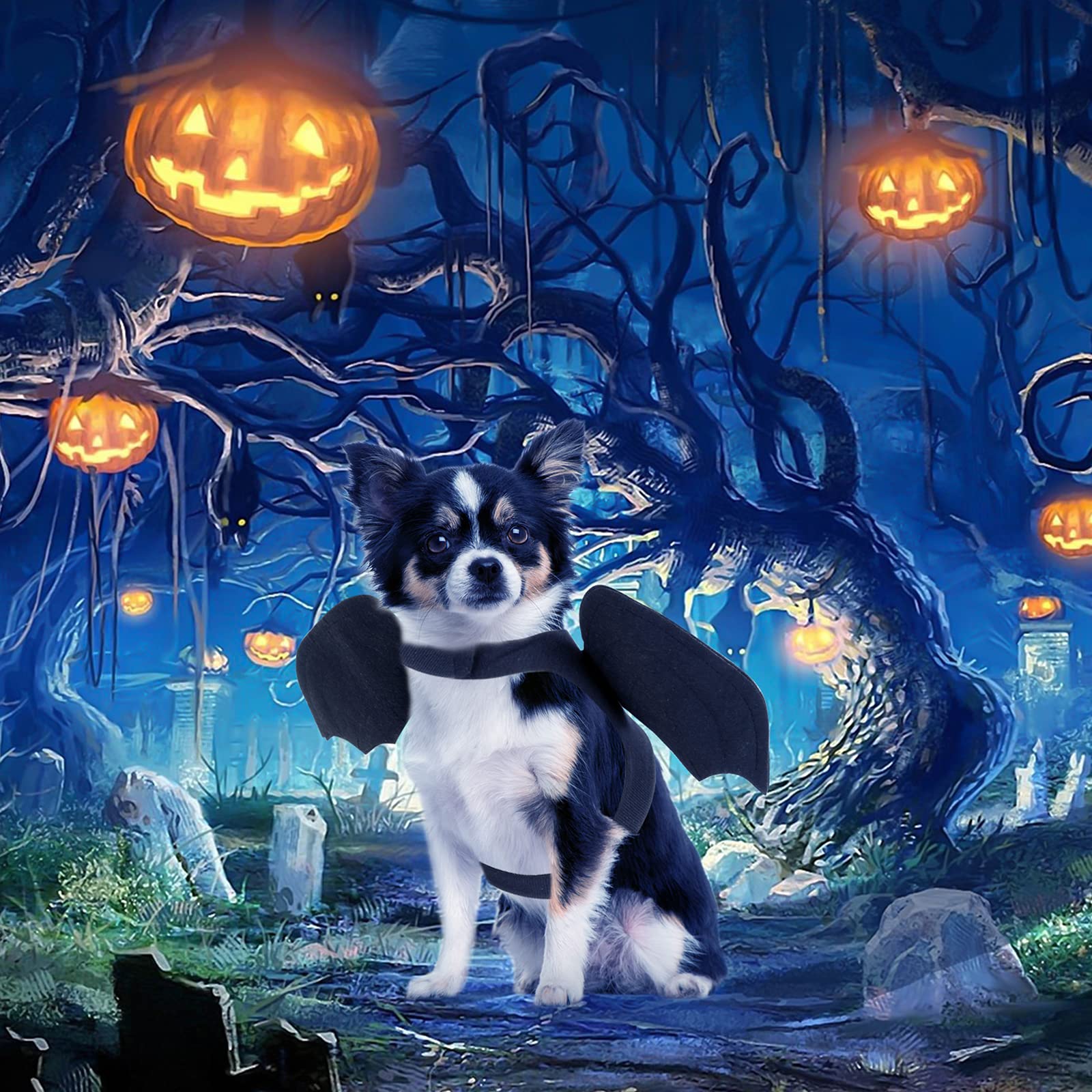 Halloween Bat Wings Pet Costumes for Halloween Party