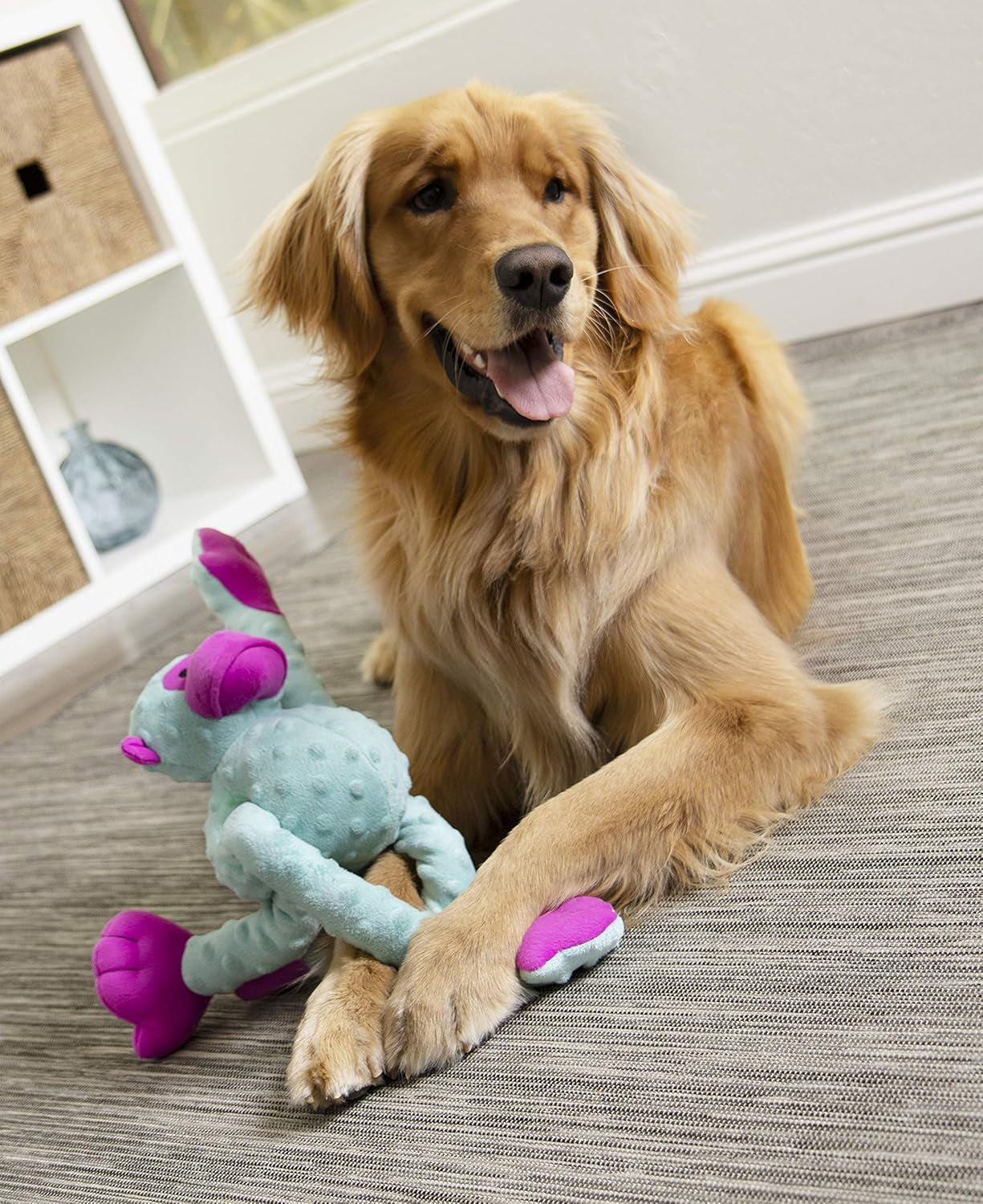 Crazy Tugs Large Turquoise Monkey Squeaky Plush Tug Dog Toy with Chew Guard Technology