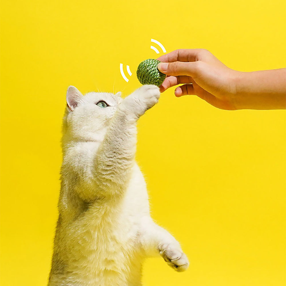 3PCS Cat Toy Balls/ Interactive Sisal Rope Balls with Rustling Sound Pea Pod Storage