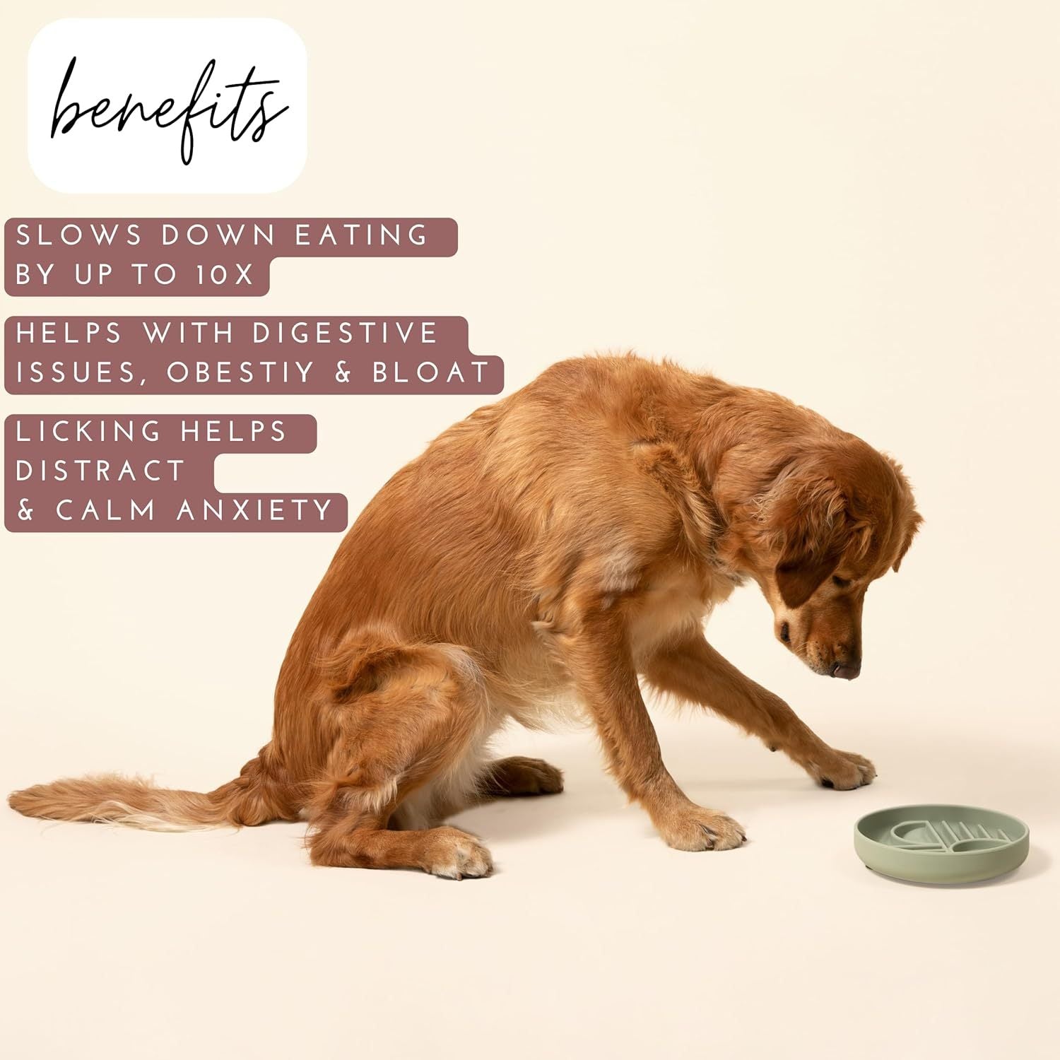 Beige Silicone Slow Feeder Bowl for Pets
