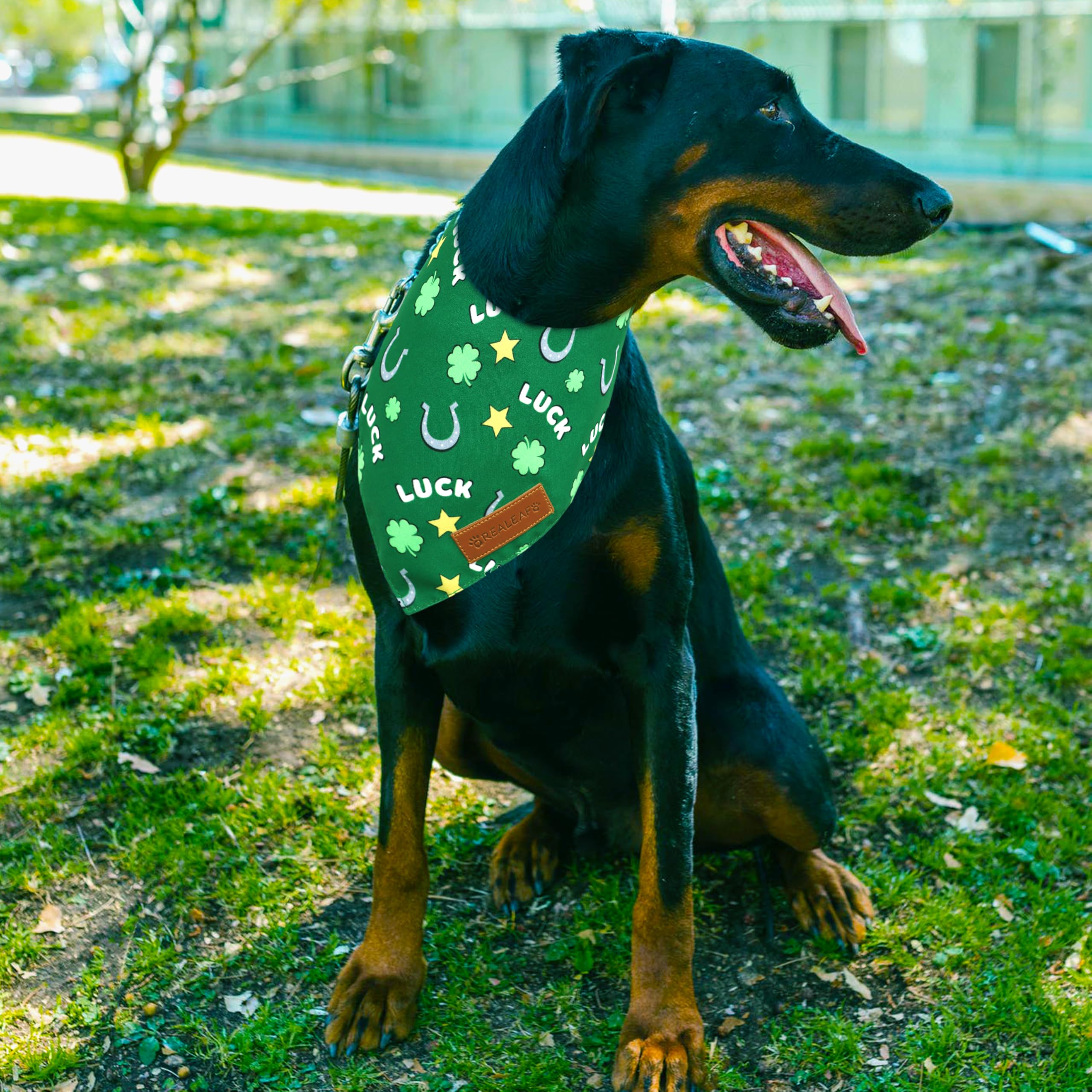 Realeaf Fall Dog Bandanas 2 Pack, Reversible Orange Plaid Holiday Pet Scarf