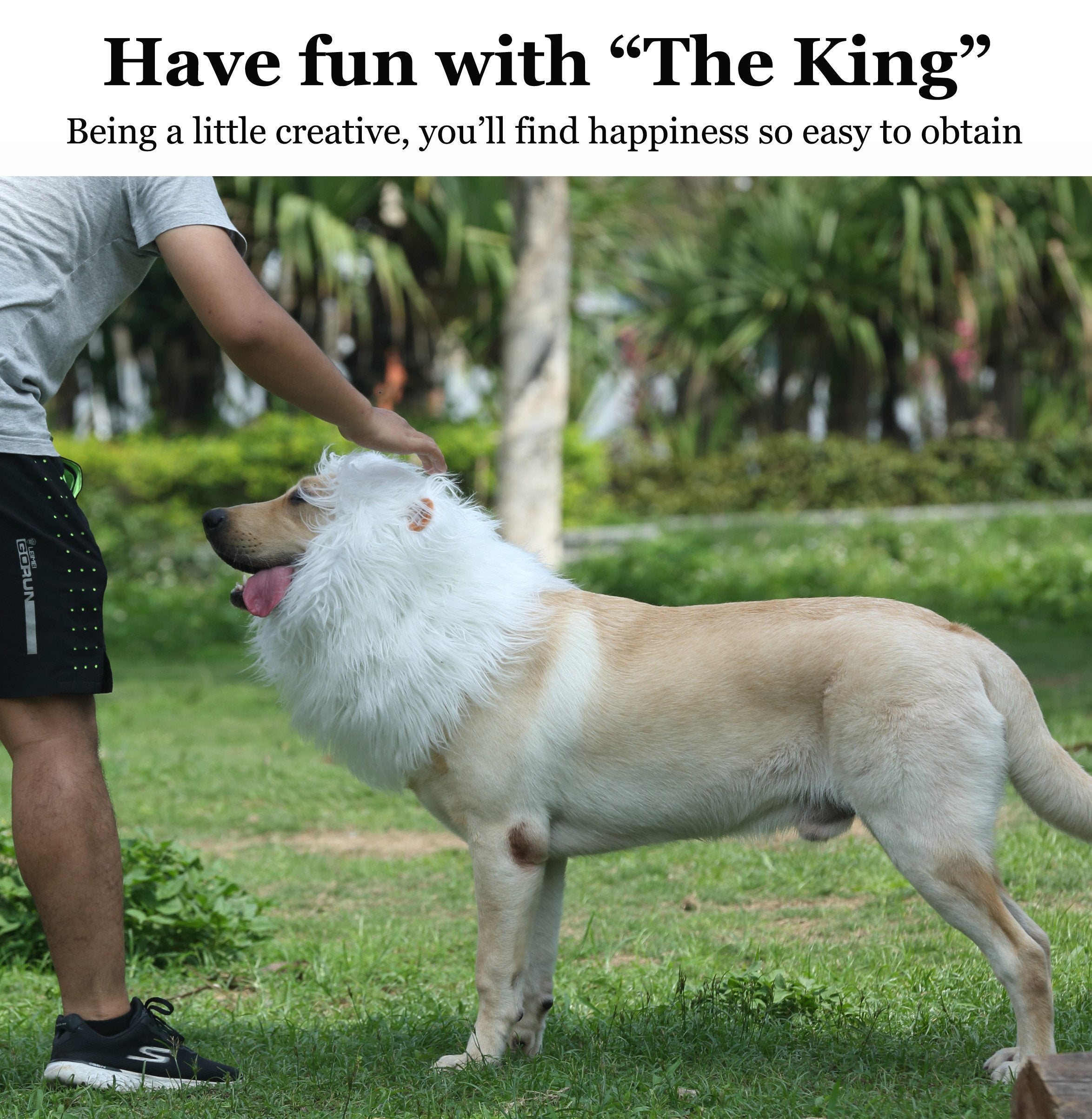 Lion Mane Wig for Dogs with Ears, Funny Pet Costumes for Halloween