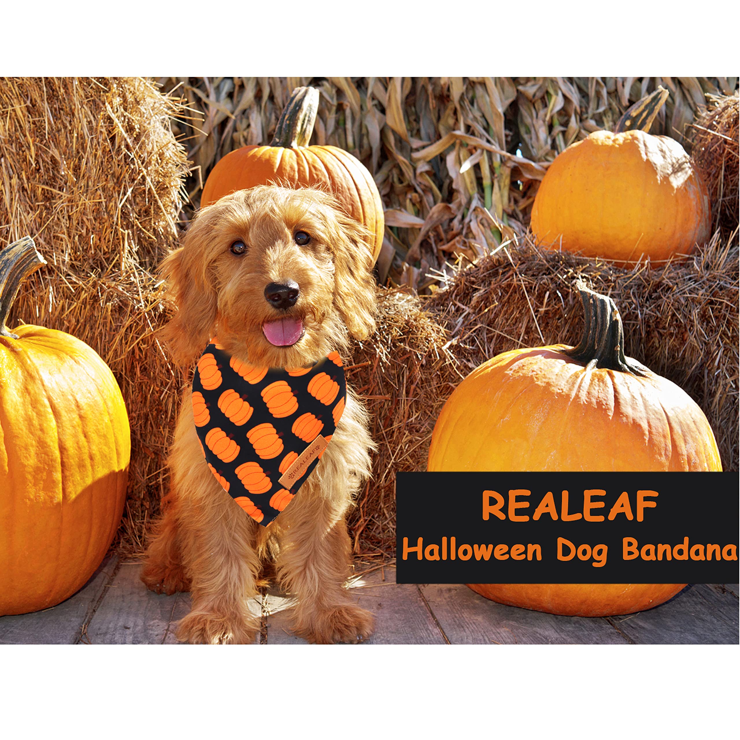 Realeaf Fall Halloween Dog Bandanas 2 Pack