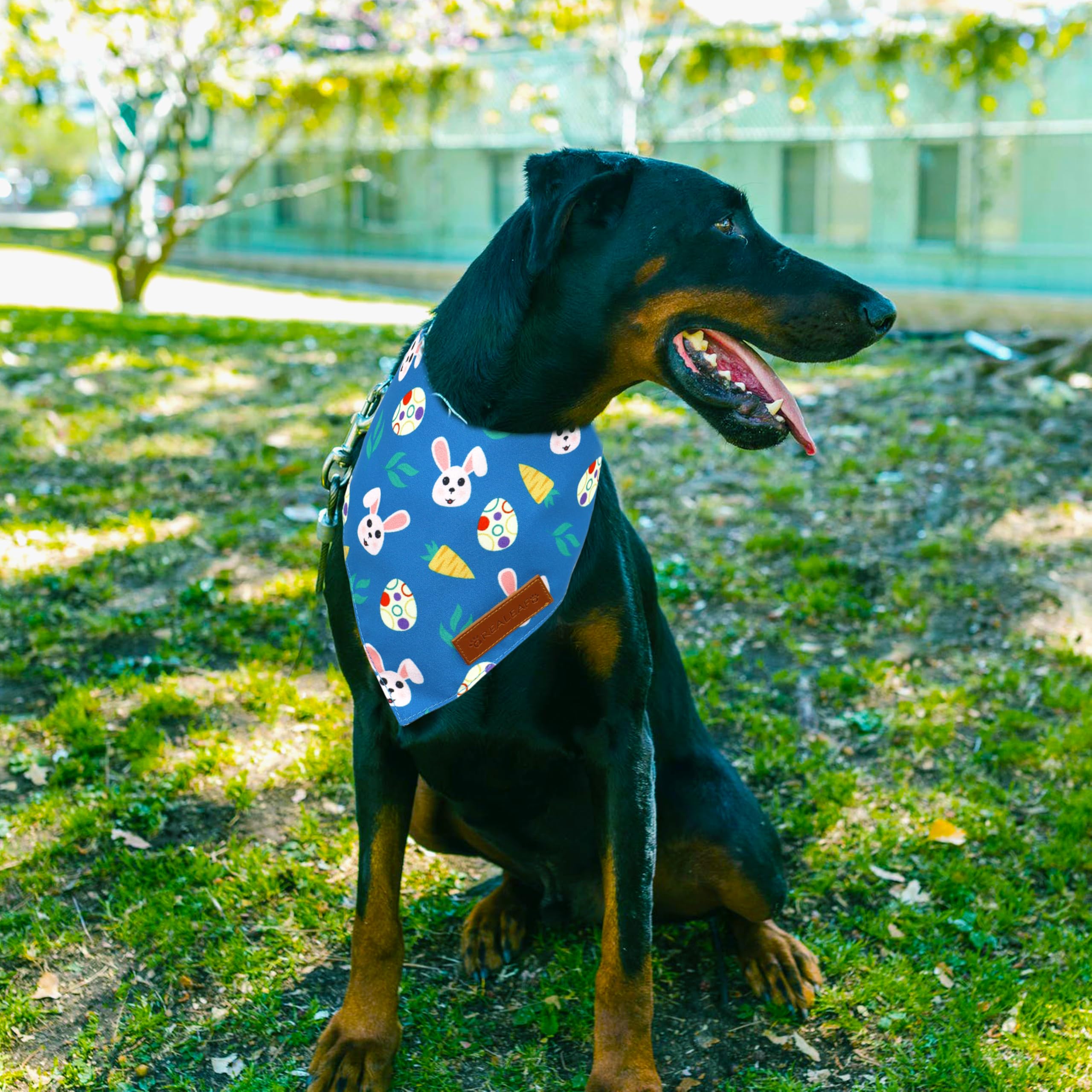 Realeaf Fall Halloween Dog Bandanas 2 Pack