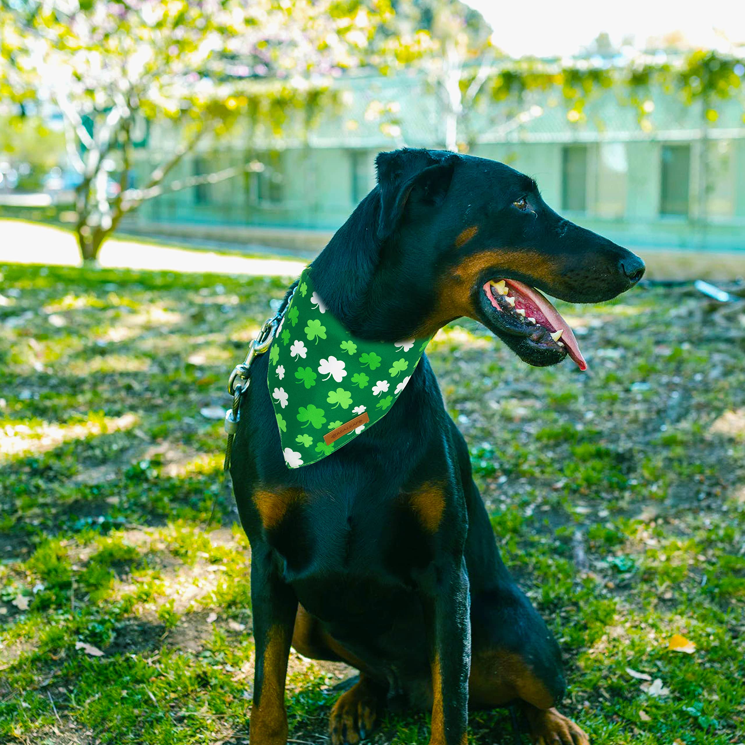 Realeaf Halloween Dog Bandanas 2 Pack