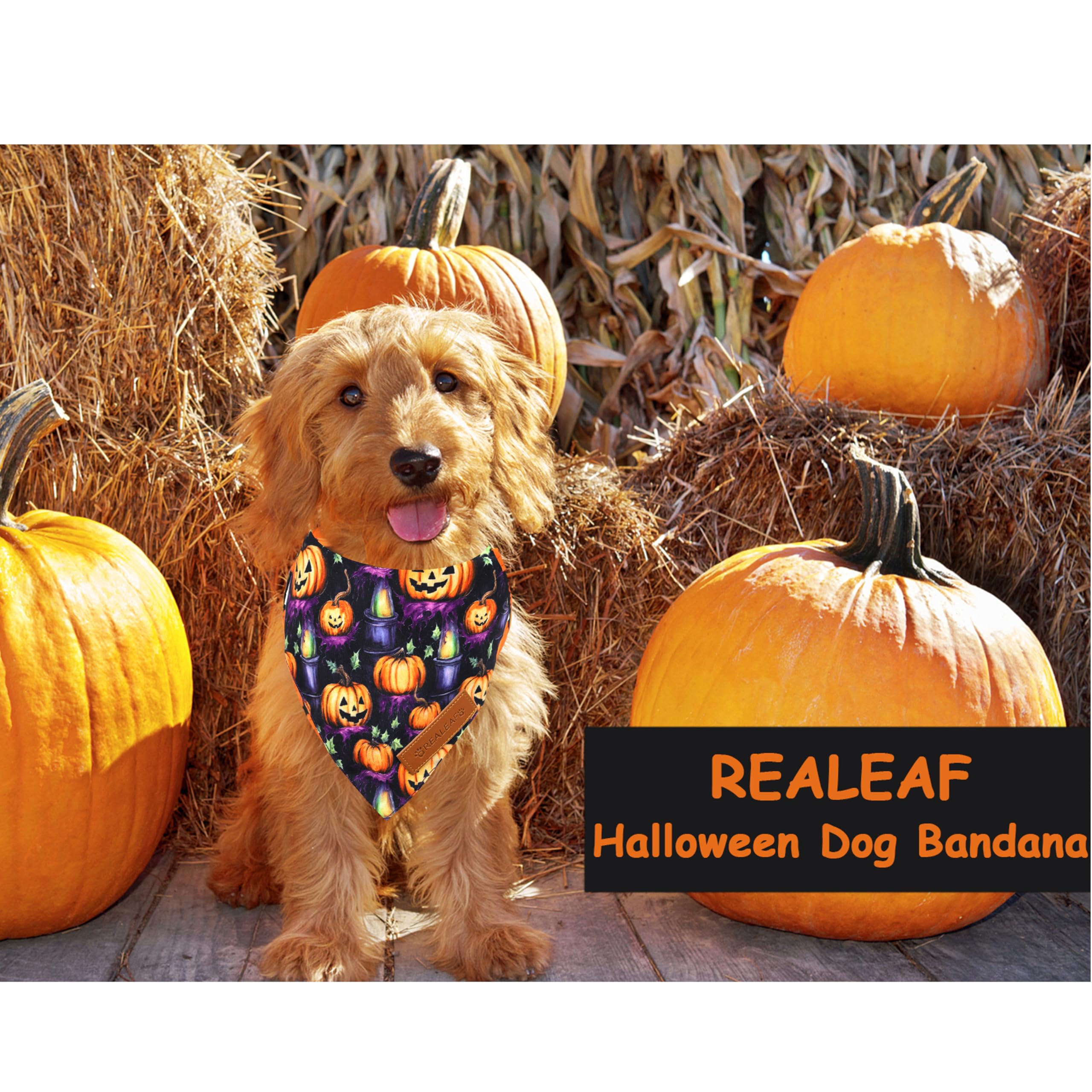 Realeaf Fall Dog Bandanas 2 Pack, Reversible Orange Plaid Holiday Pet Scarf