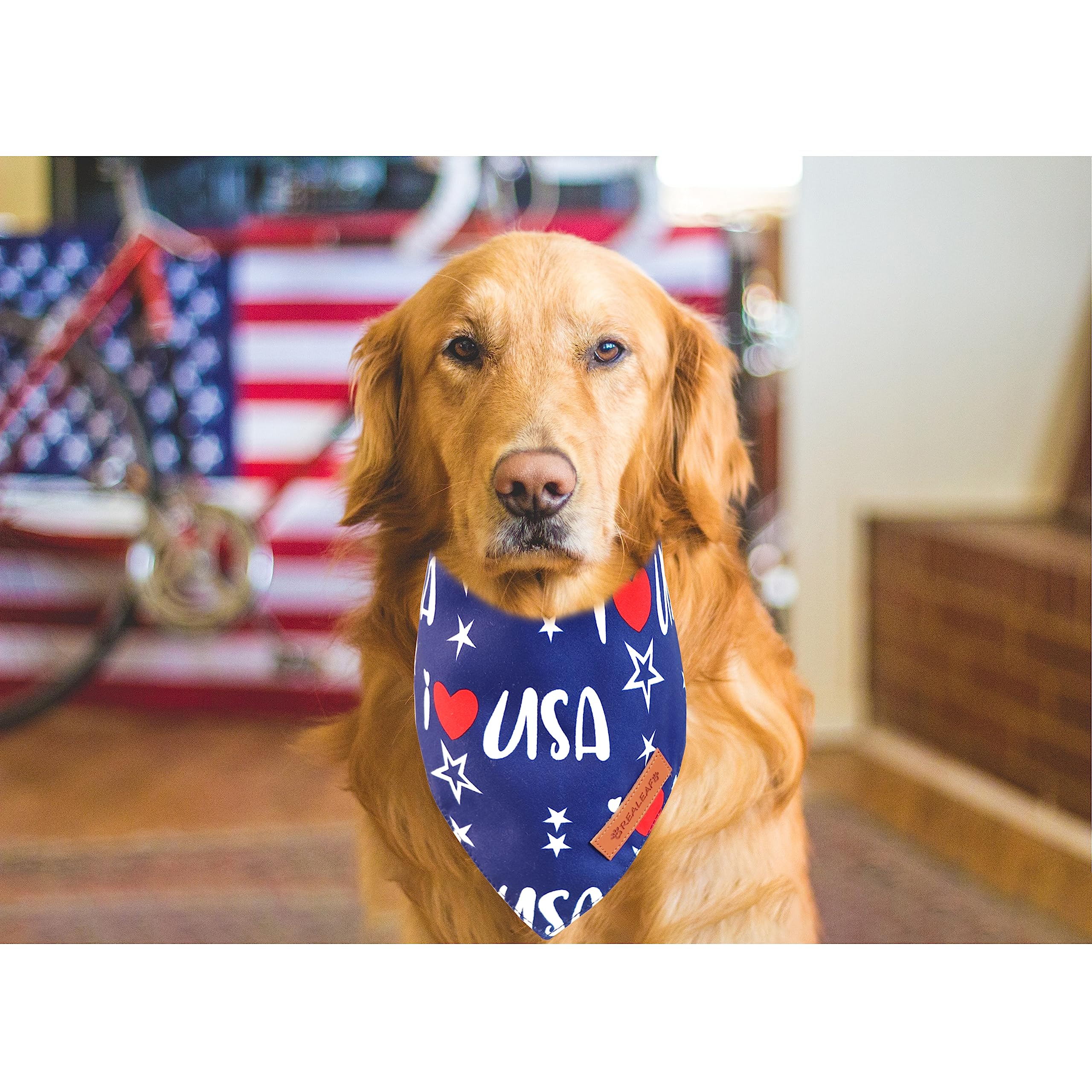 Realeaf Fall Halloween Dog Bandanas 2 Pack