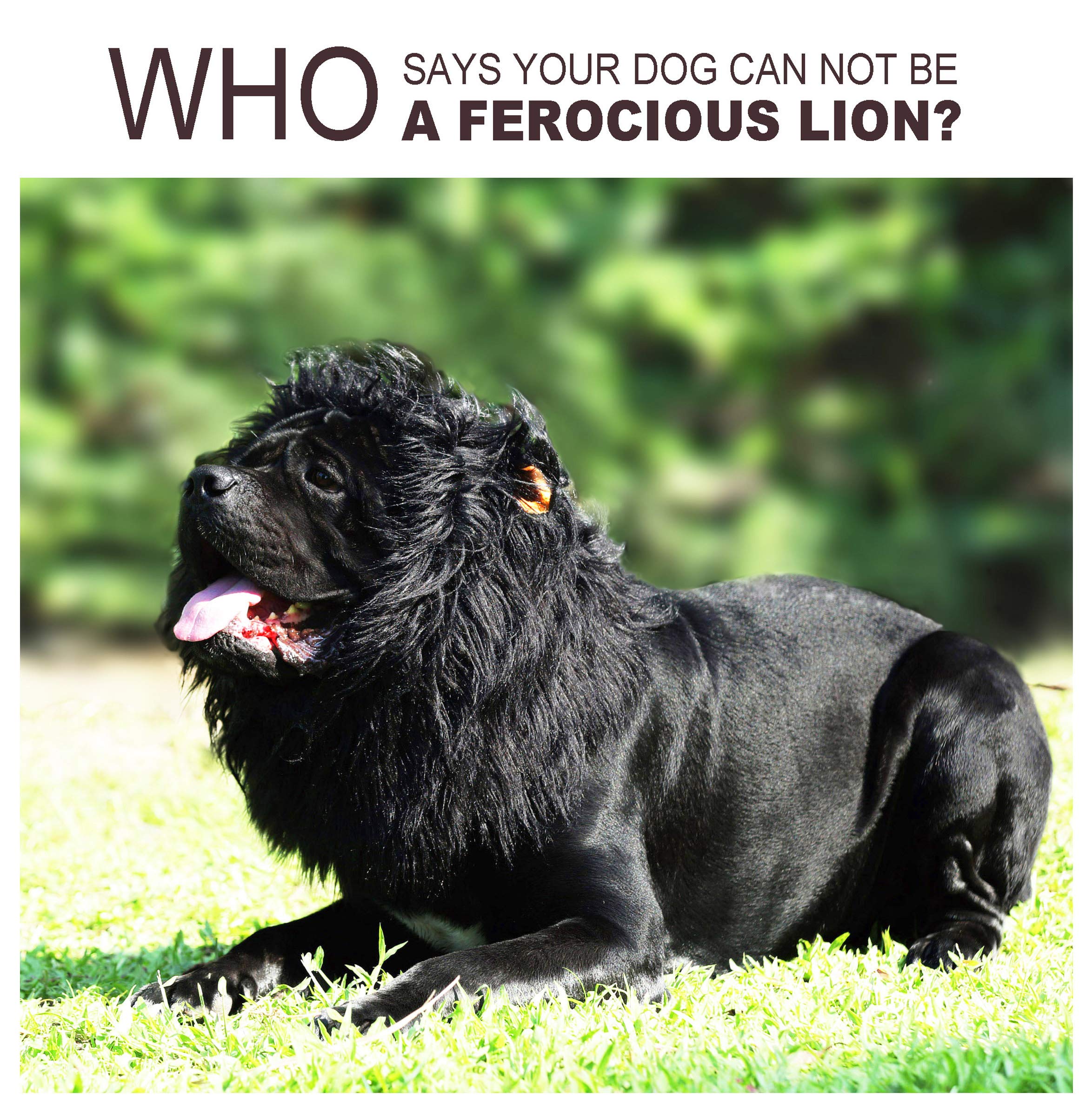Lion Mane Wig for Dogs with Ears, Funny Pet Costumes for Halloween