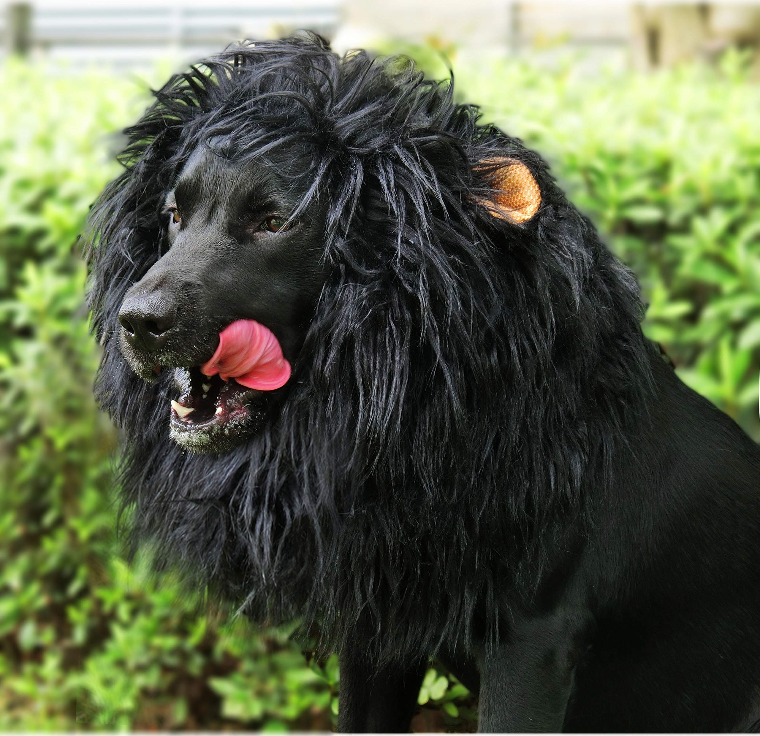 Lion Mane Wig for Dogs with Ears, Funny Pet Costumes for Halloween