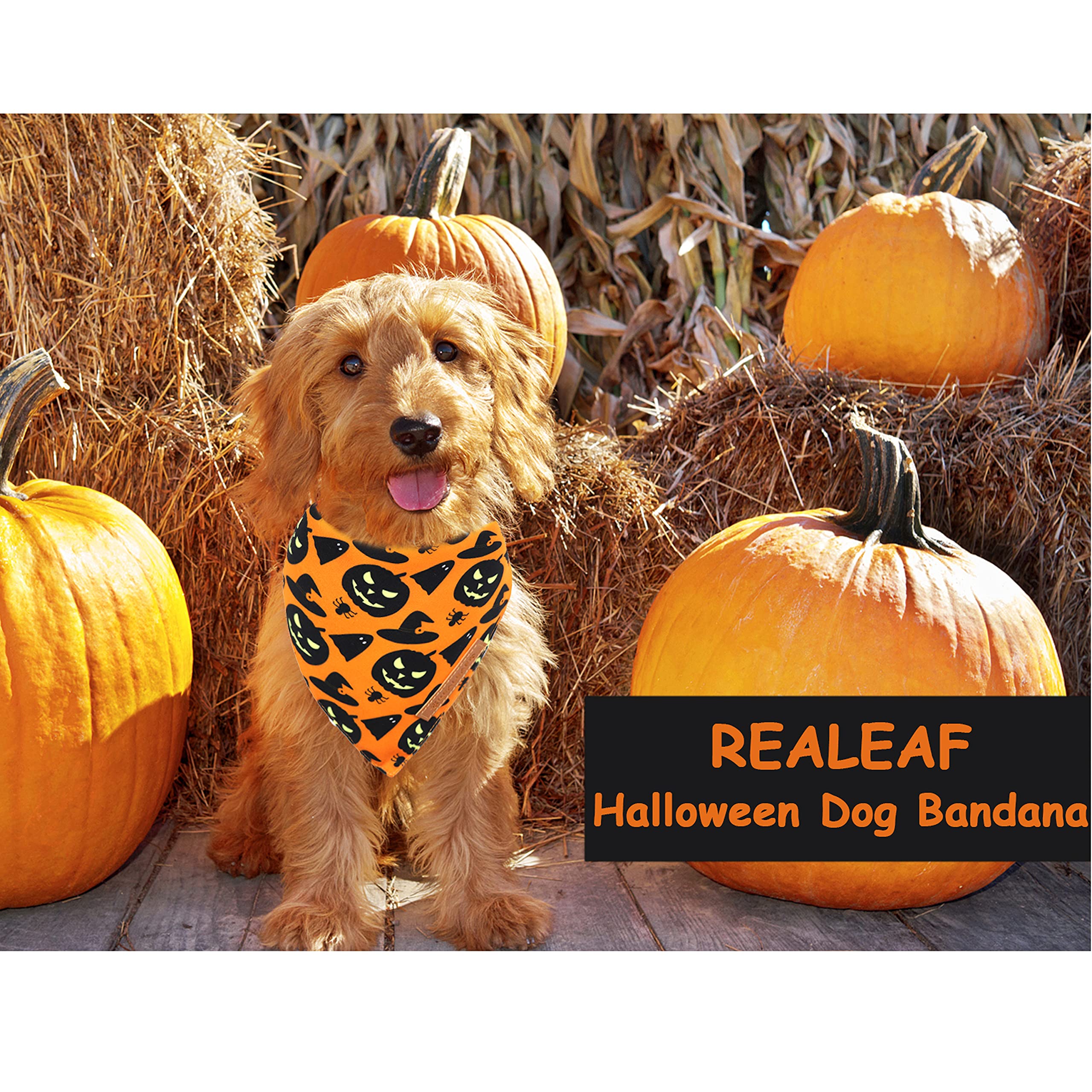 Realeaf Halloween Dog Bandanas 2 Pack