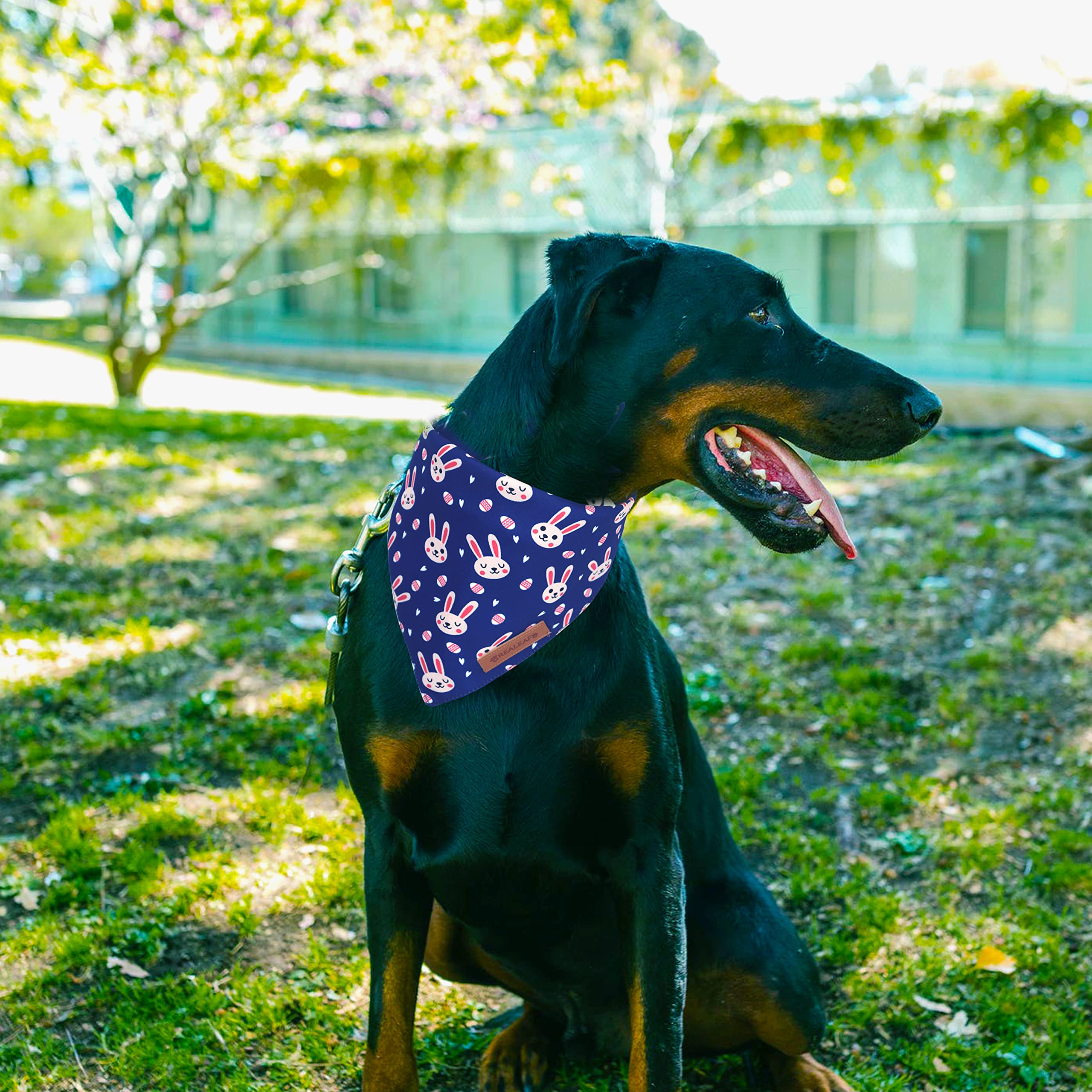 Realeaf Fall Dog Bandanas 2 Pack, Reversible Orange Plaid Holiday Pet Scarf