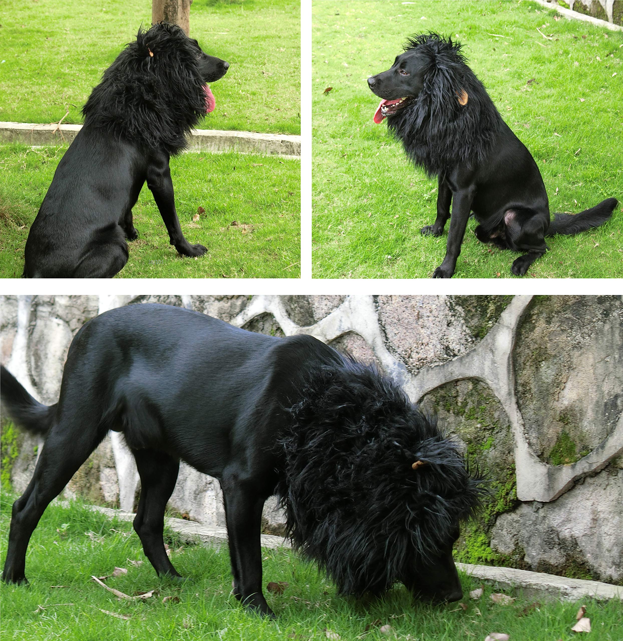 Lion Mane Wig for Dogs with Ears, Funny Pet Costumes for Halloween