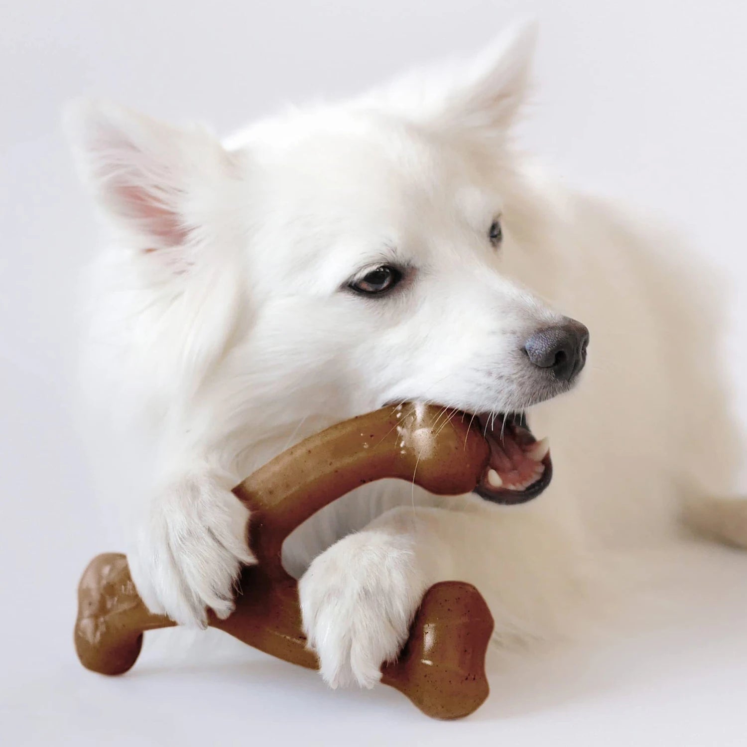 Dog Chews Bacon Flavor Real Bone Shape