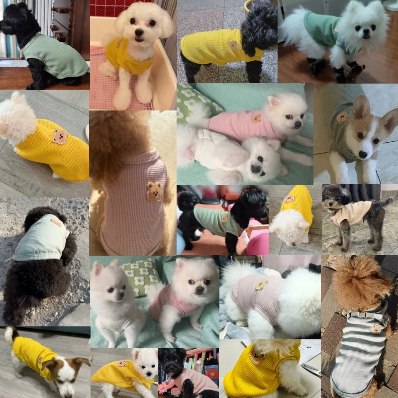 Pet Clothes Spring Summer Cat Dog