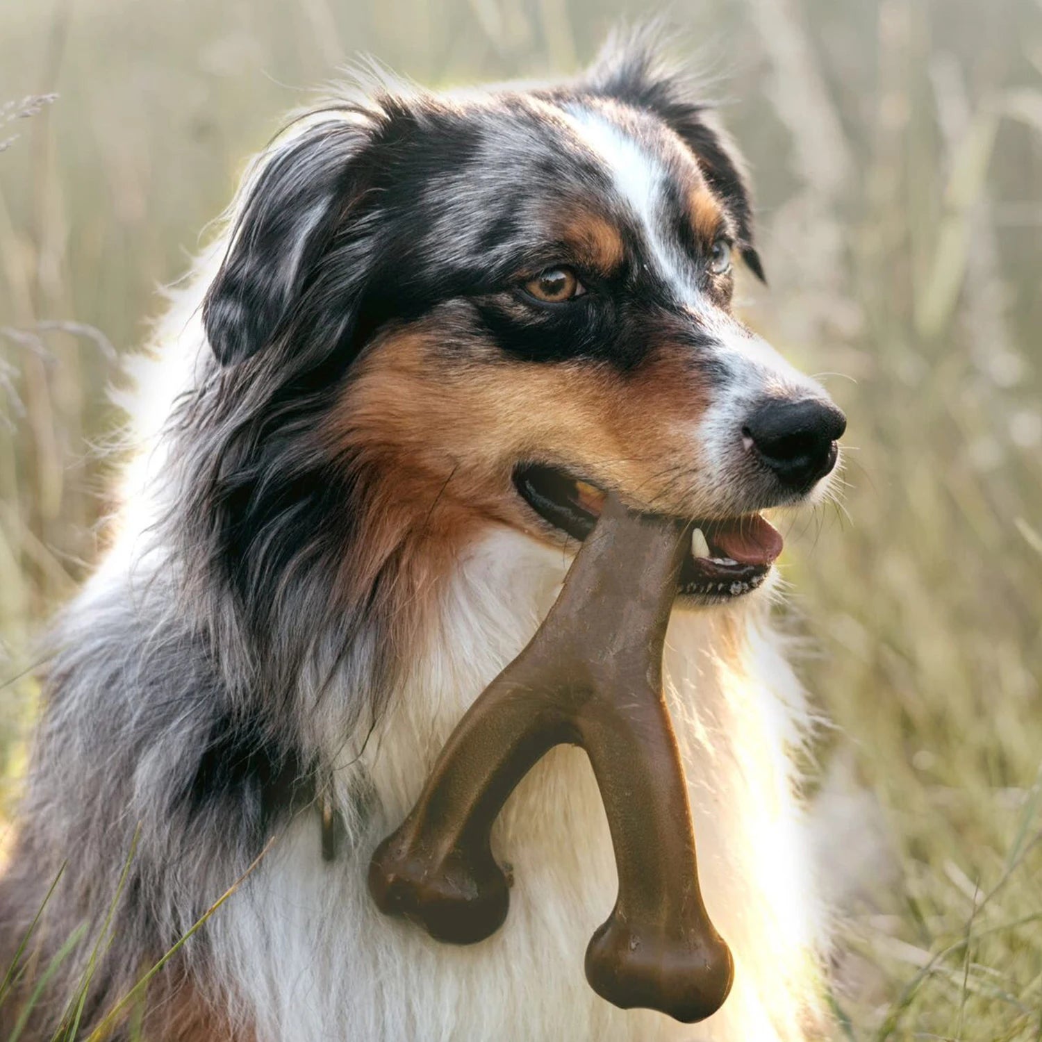 Dog Chews Bacon Flavor Real Bone Shape
