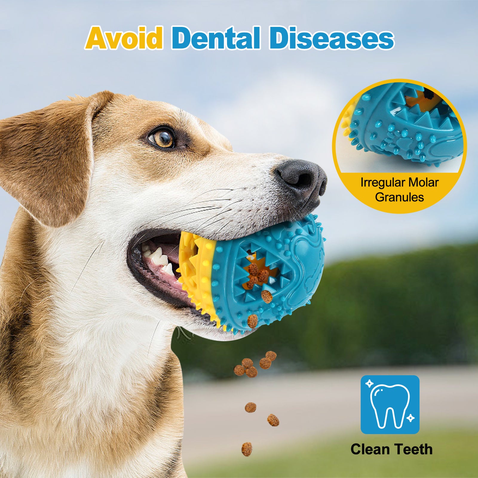 Dog Chew Toys Grinding Teeth Sound Ball