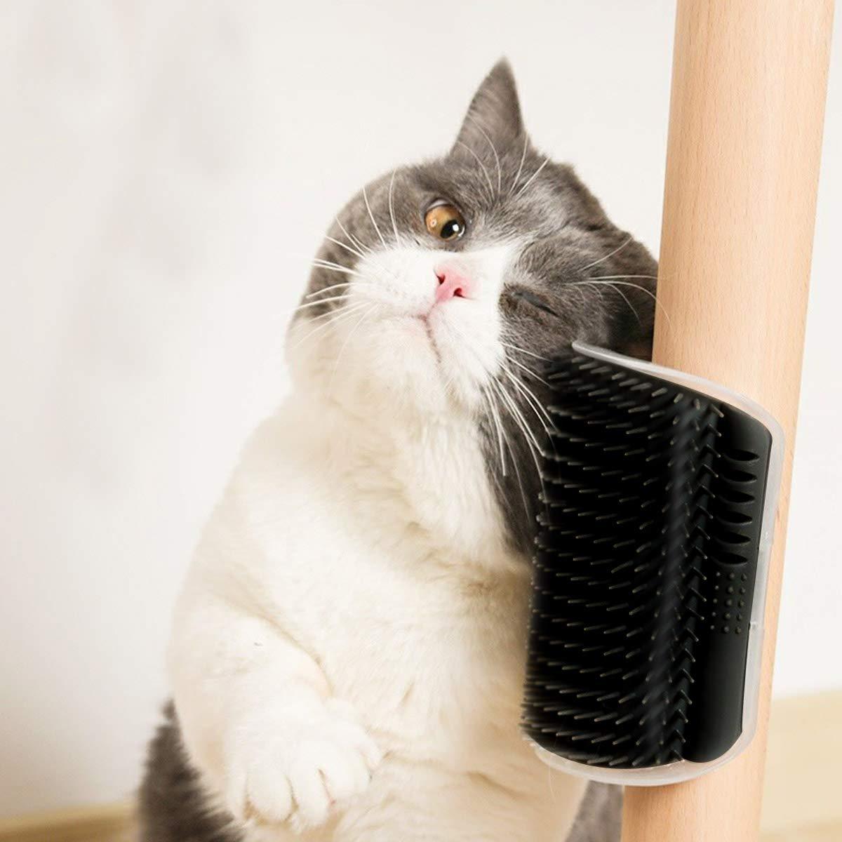 Cat Self Groomer Arch and Wall Corner Brush for Shedding and Massage