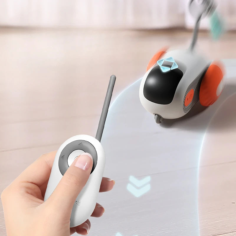 Remote Control Cat Chase Toy