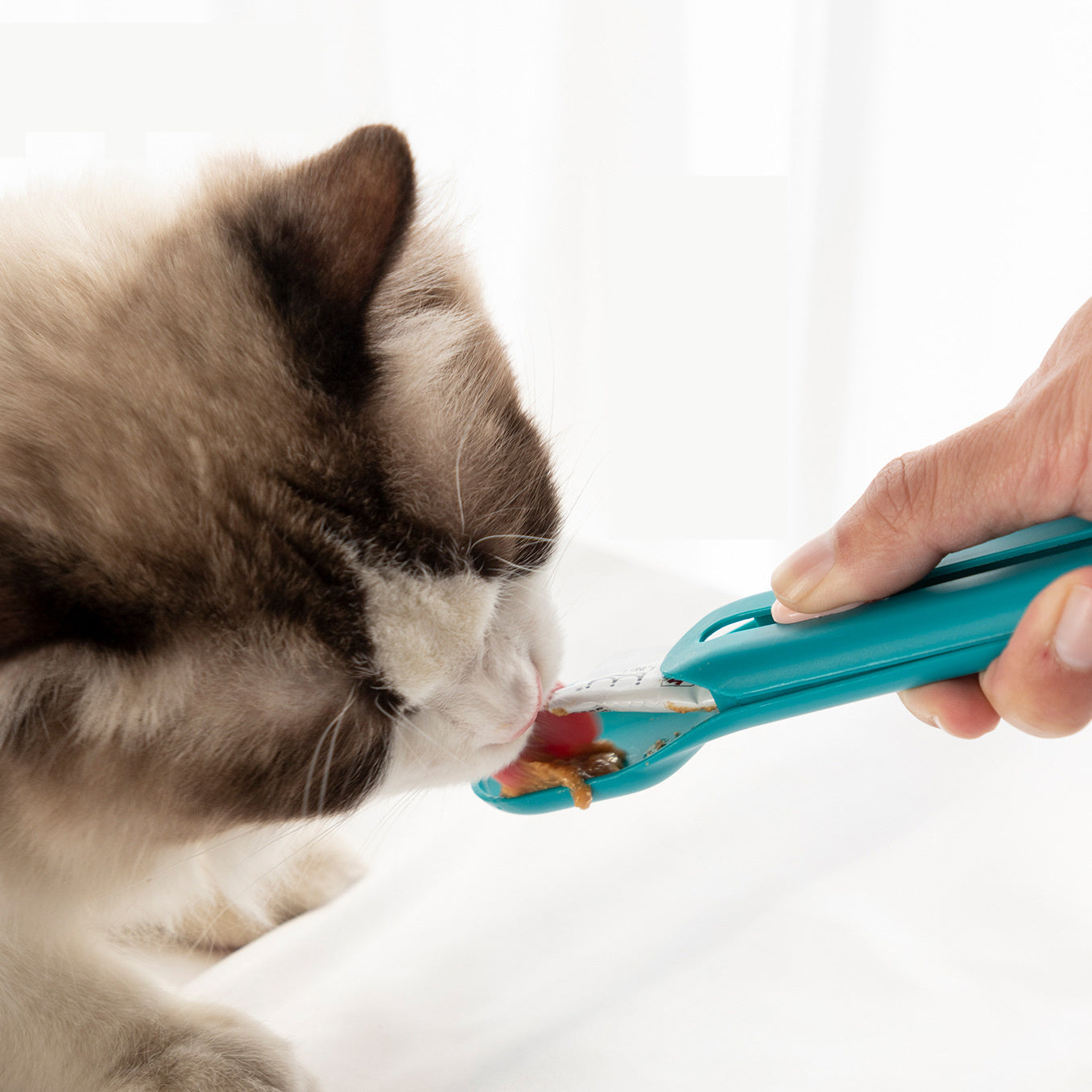 Cat Treat Spoon Feeder