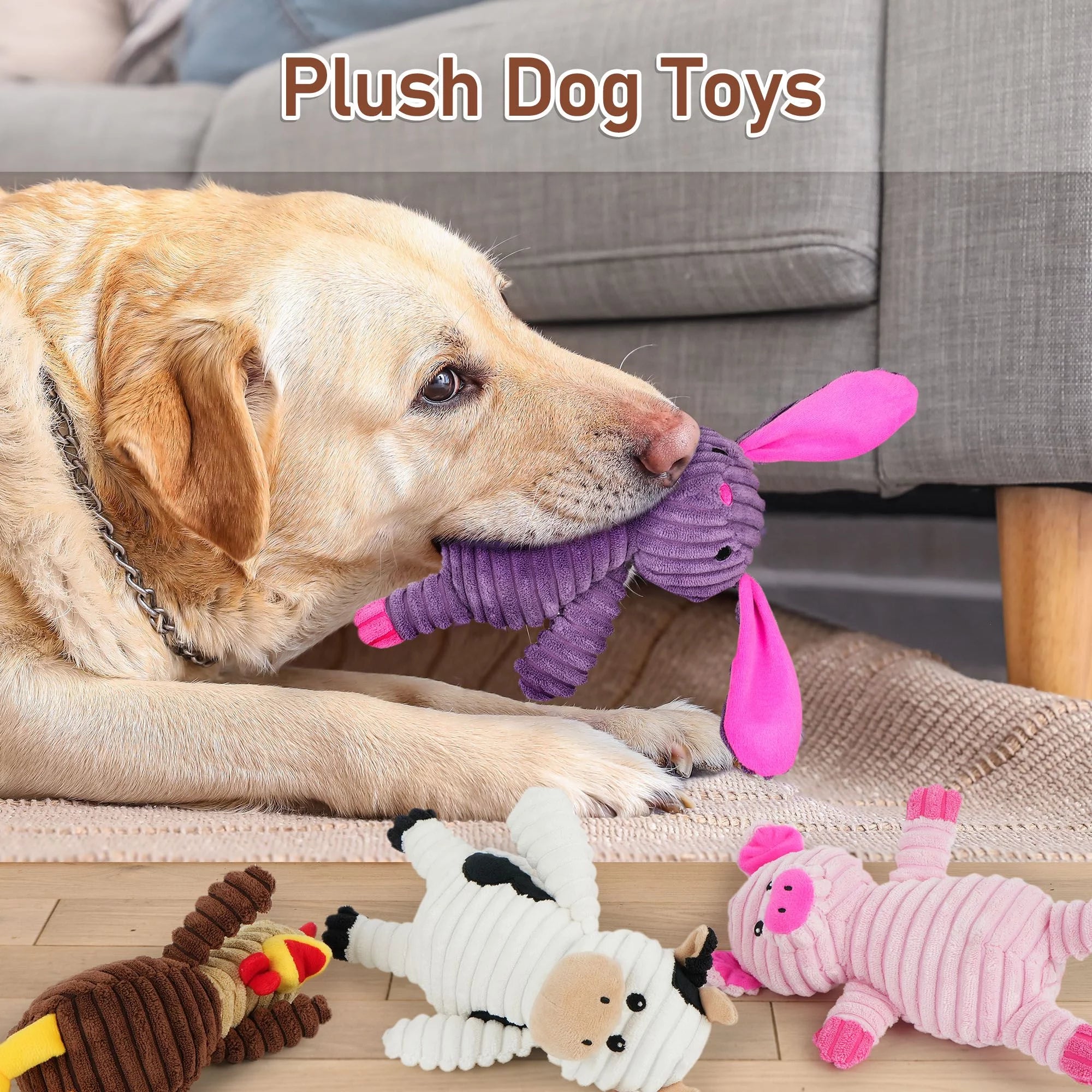 Plush Dog Squeaky Toys/ 5 Pack